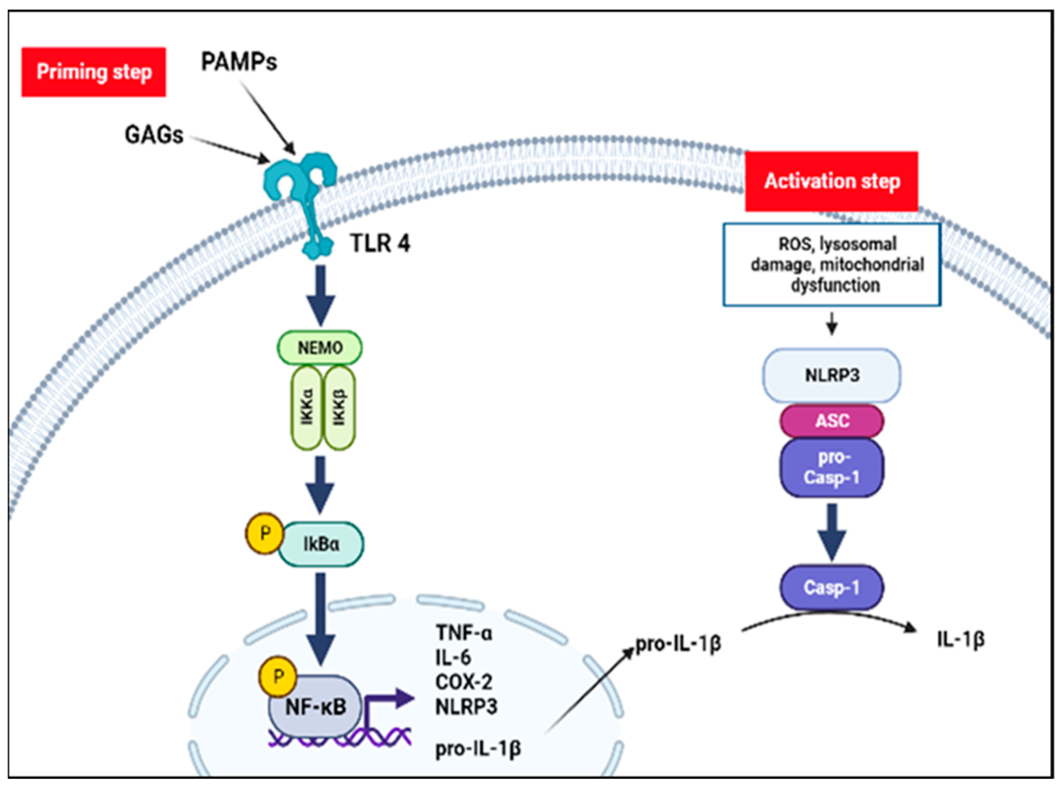 Diagnostics 13 00075 g002 Diagnostics 13 00075 g002