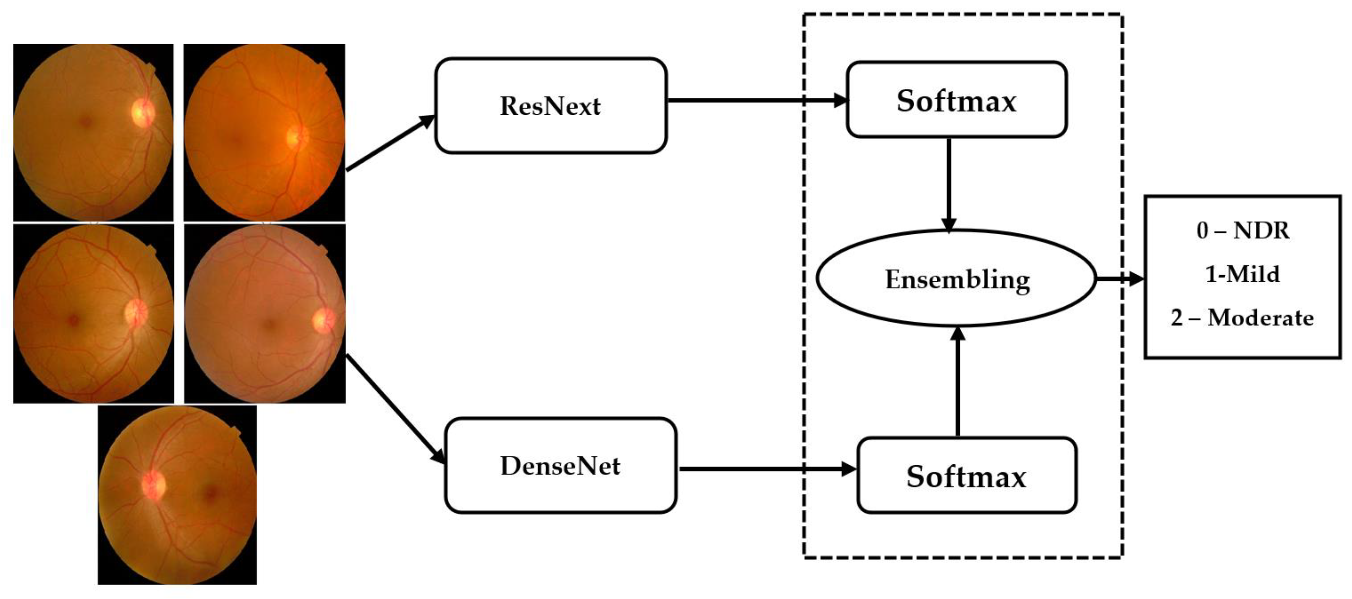Diagnostics 13 00124 g007 Diagnostics 13 00124 g007