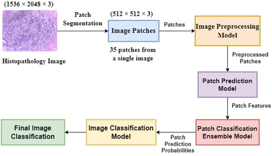 Histological classification of breast cancer flow diagram