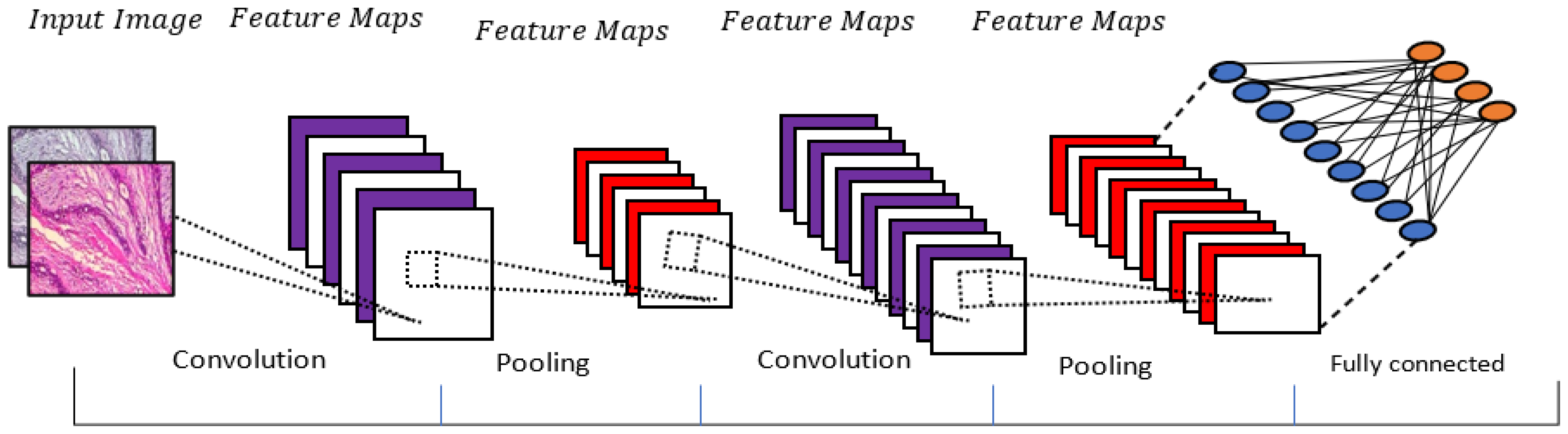 Diagnostics 13 00161 g003 Diagnostics 13 00161 g003