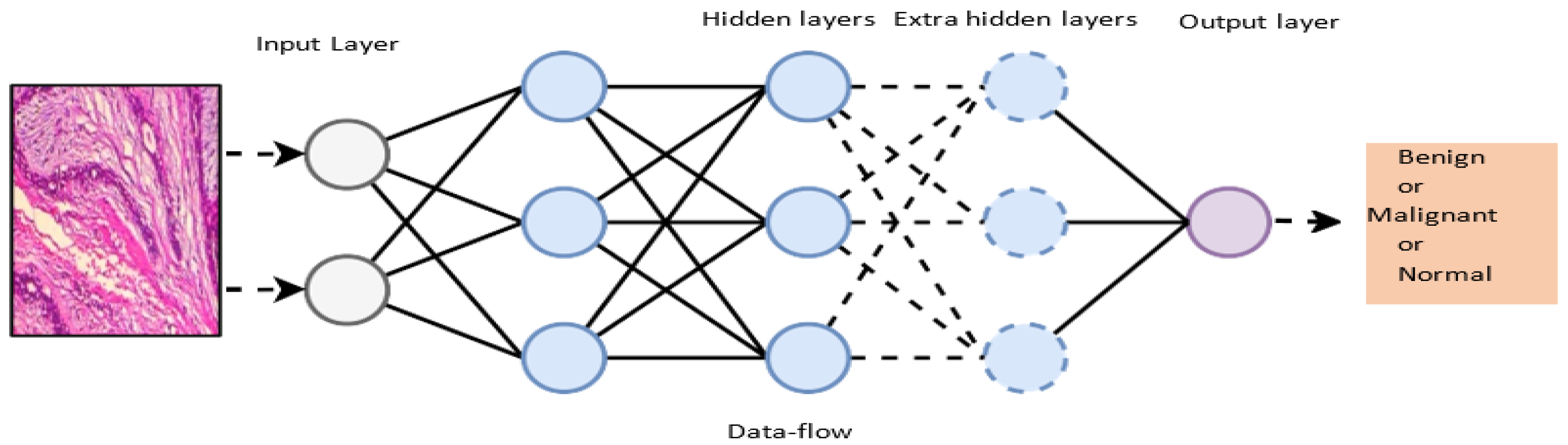 Diagnostics 13 00161 g005 Diagnostics 13 00161 g005