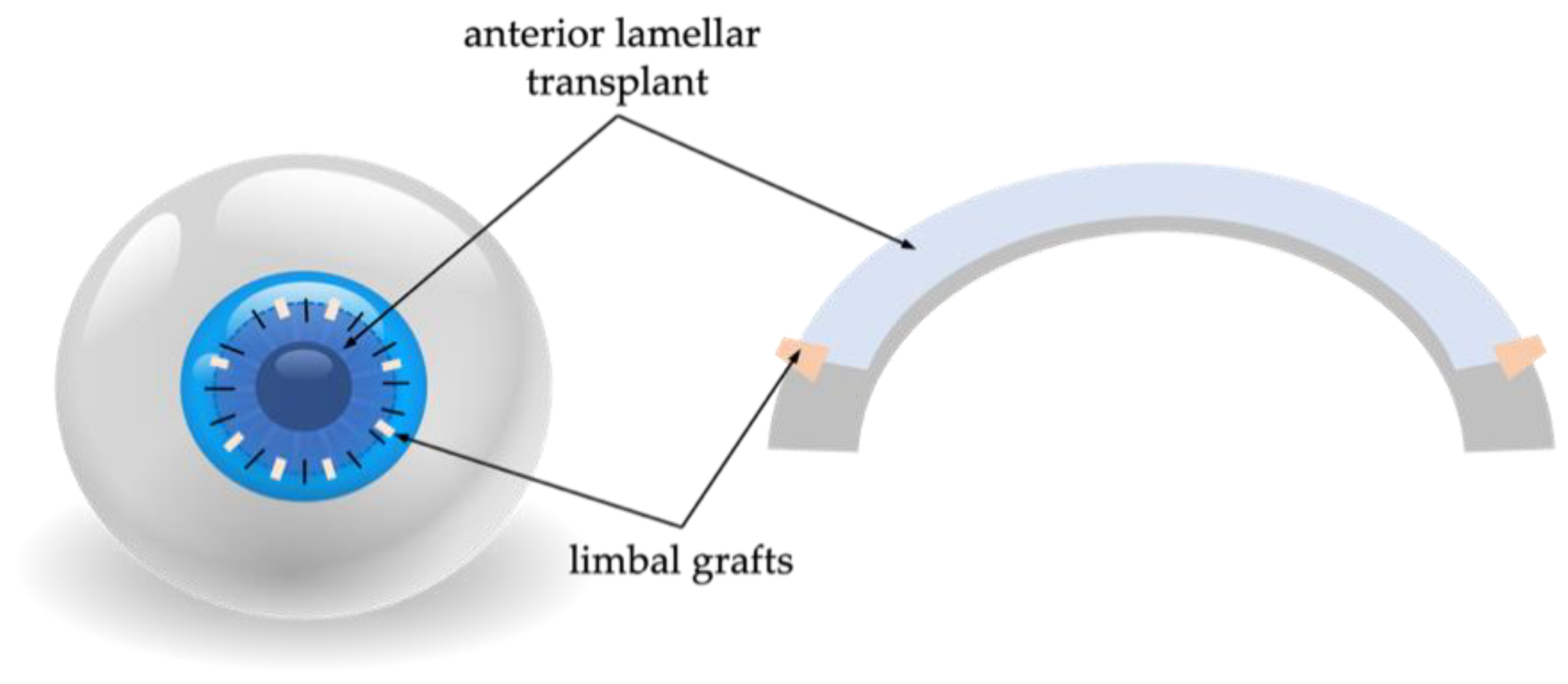 Diagnostics 13 00199 g009
