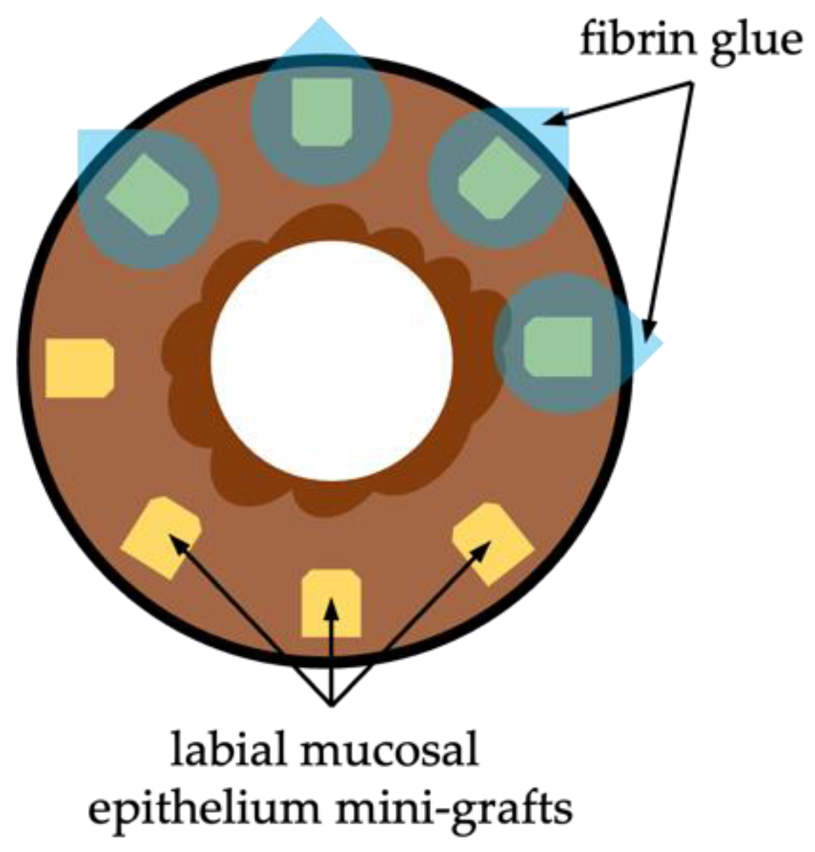 Diagnostics 13 00199 g010