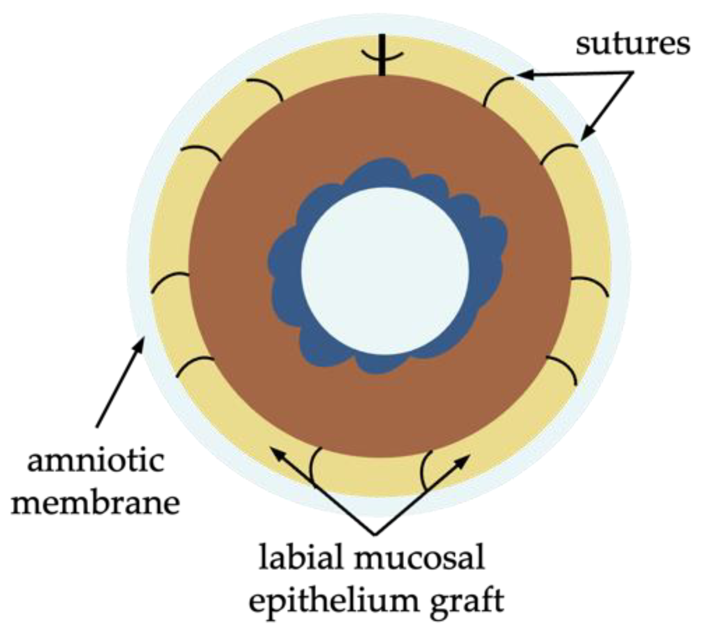 Diagnostics 13 00199 g011