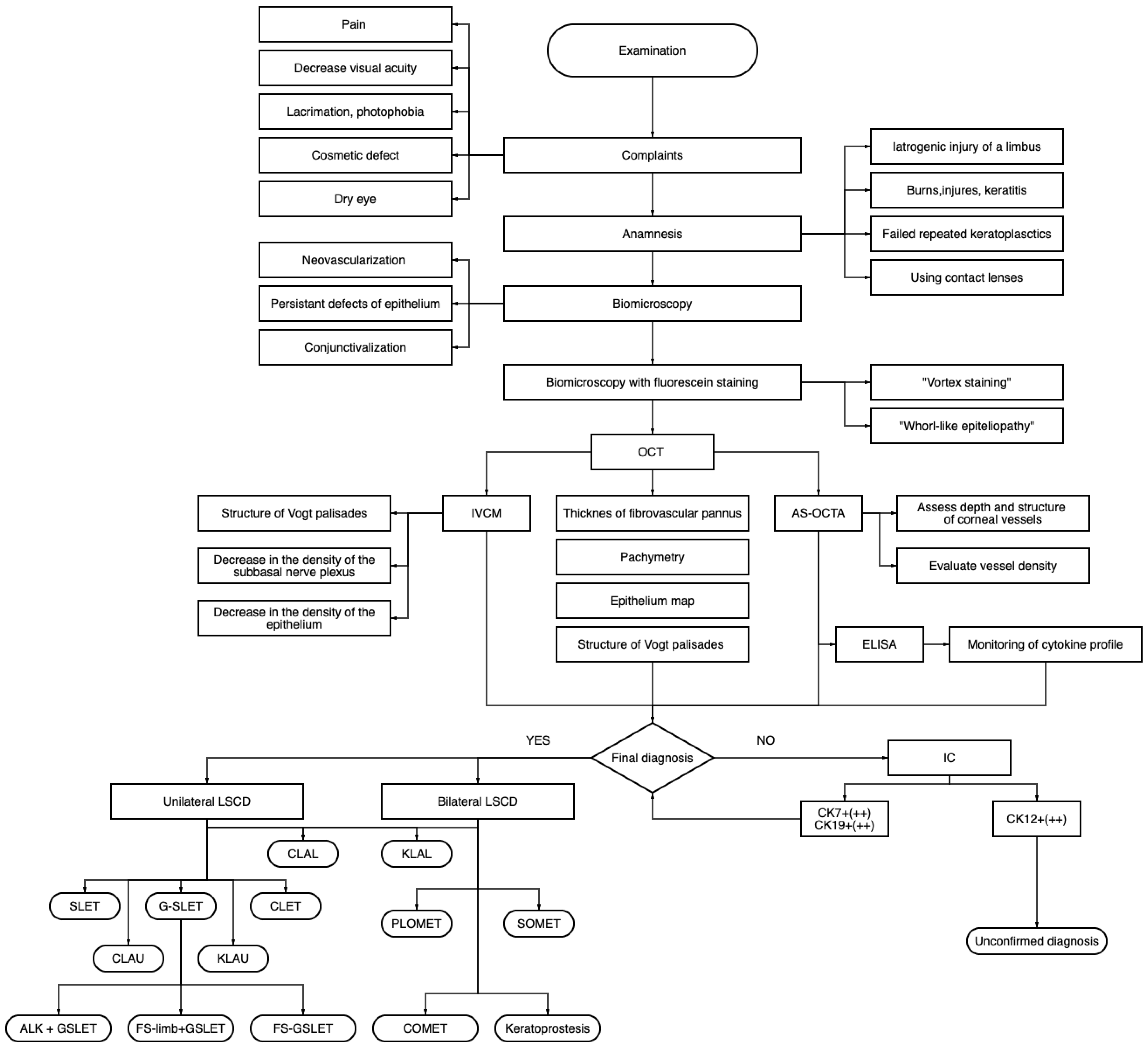 Diagnostics 13 00199 g012