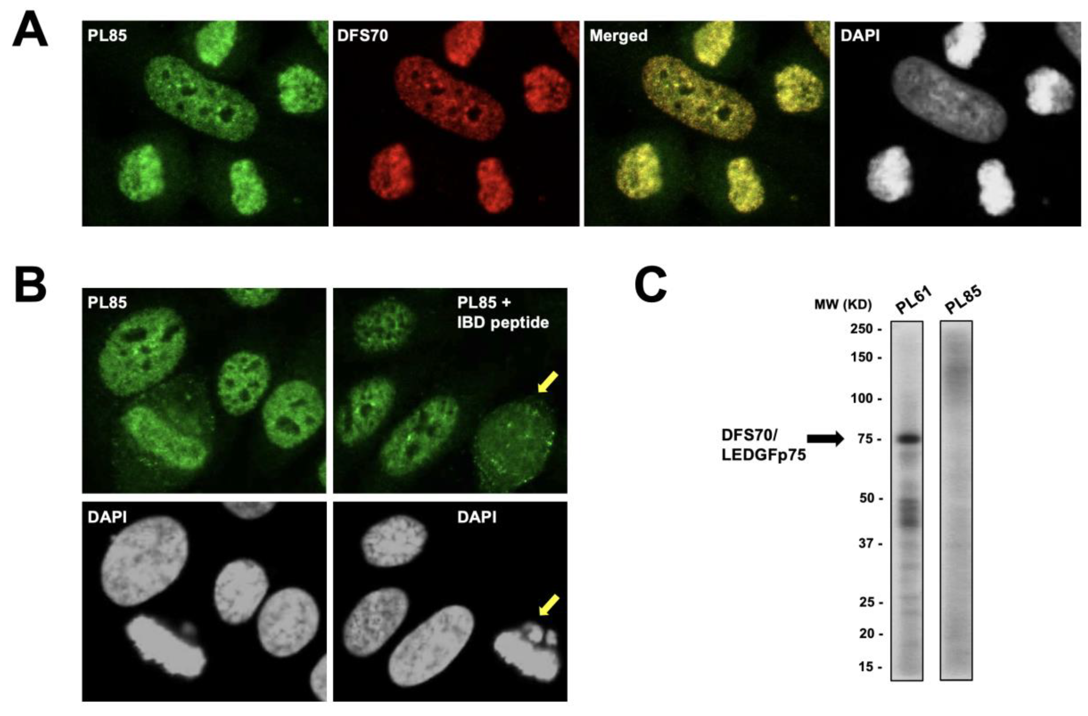 Diagnostics 13 00222 g005