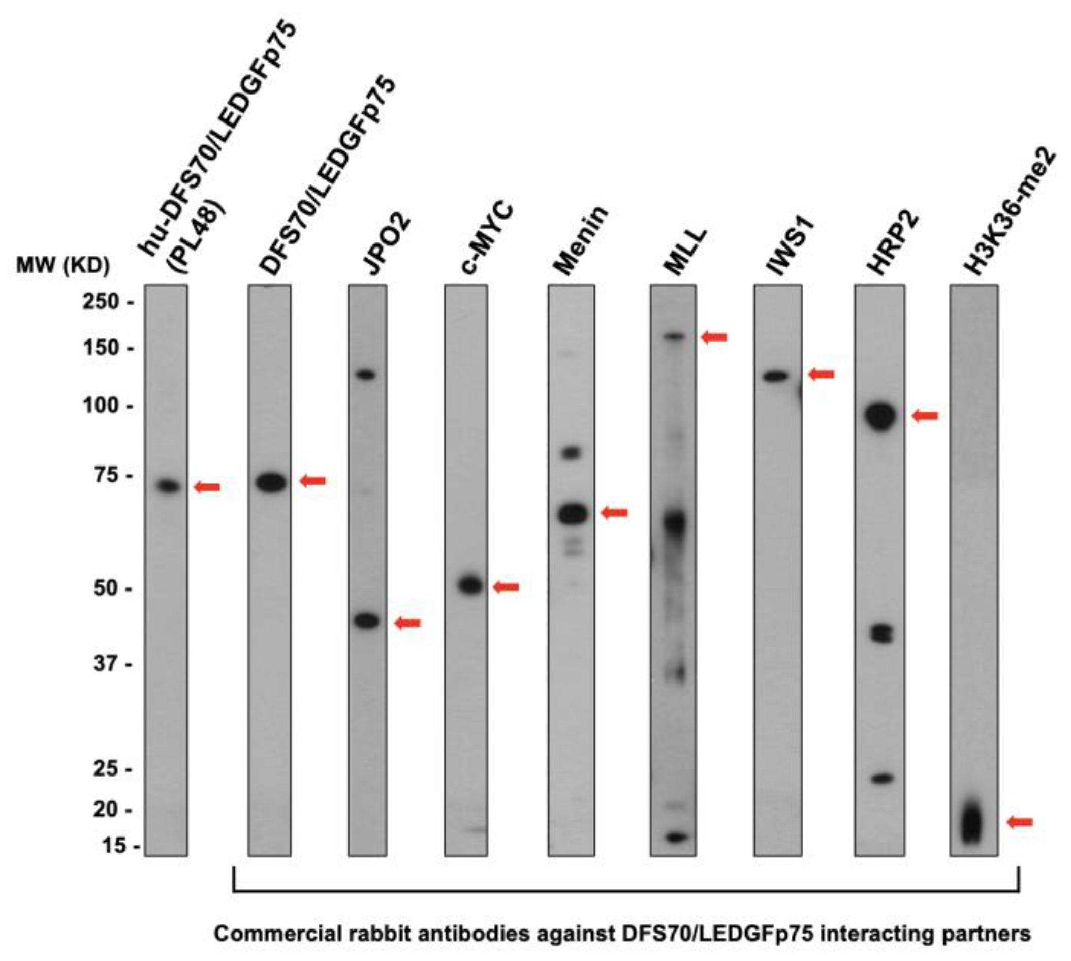 Diagnostics 13 00222 g006
