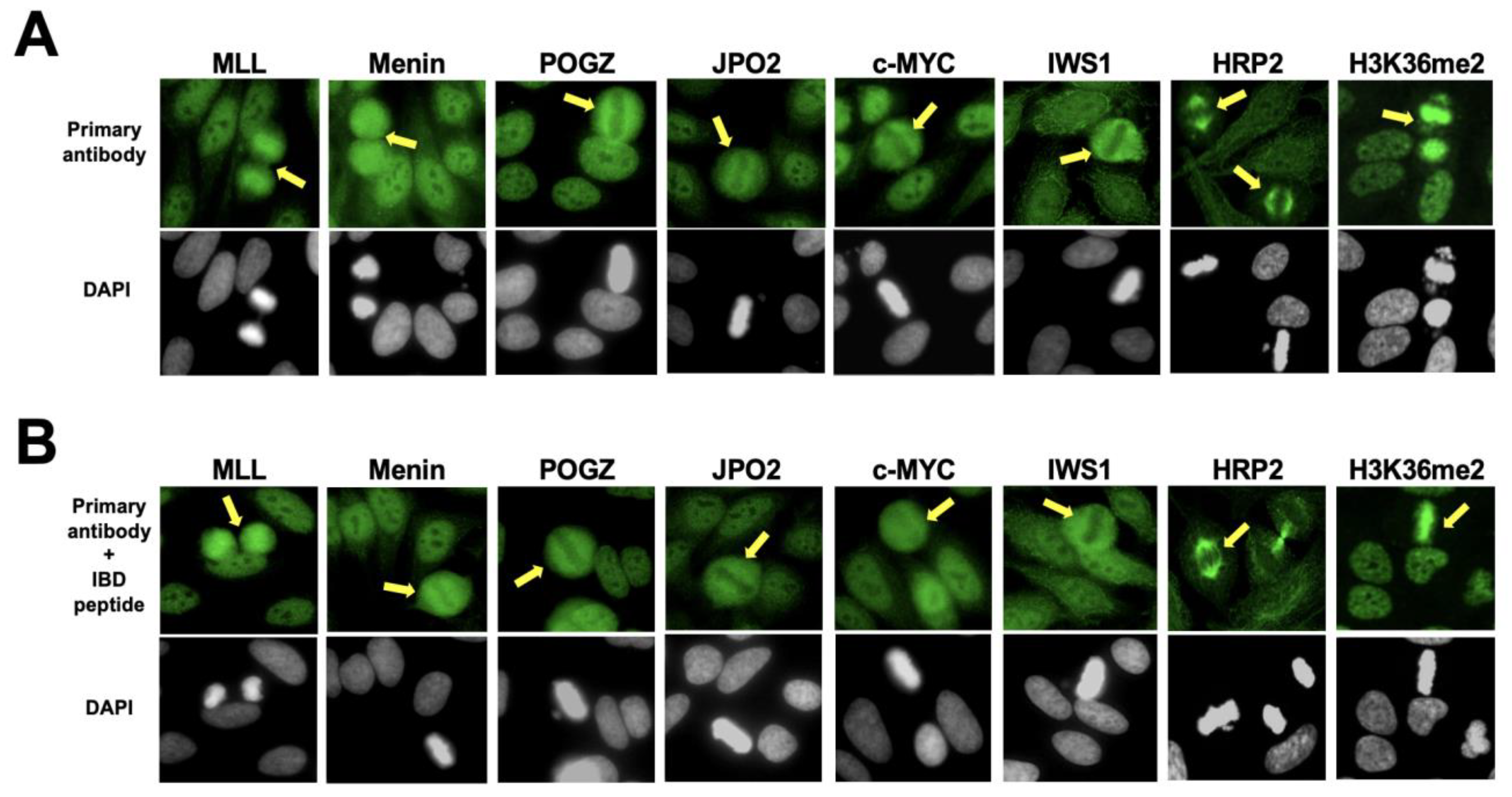 Diagnostics 13 00222 g007