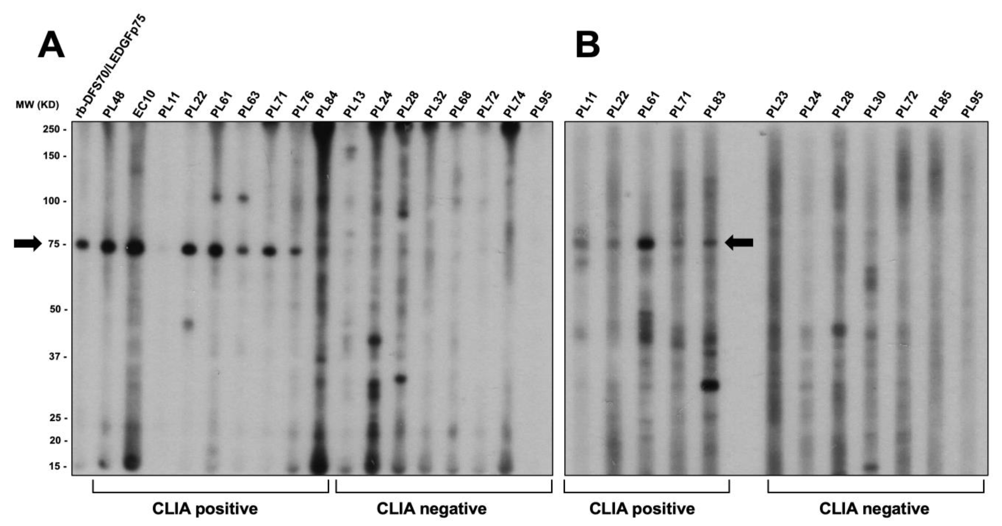 Diagnostics 13 00222 g009
