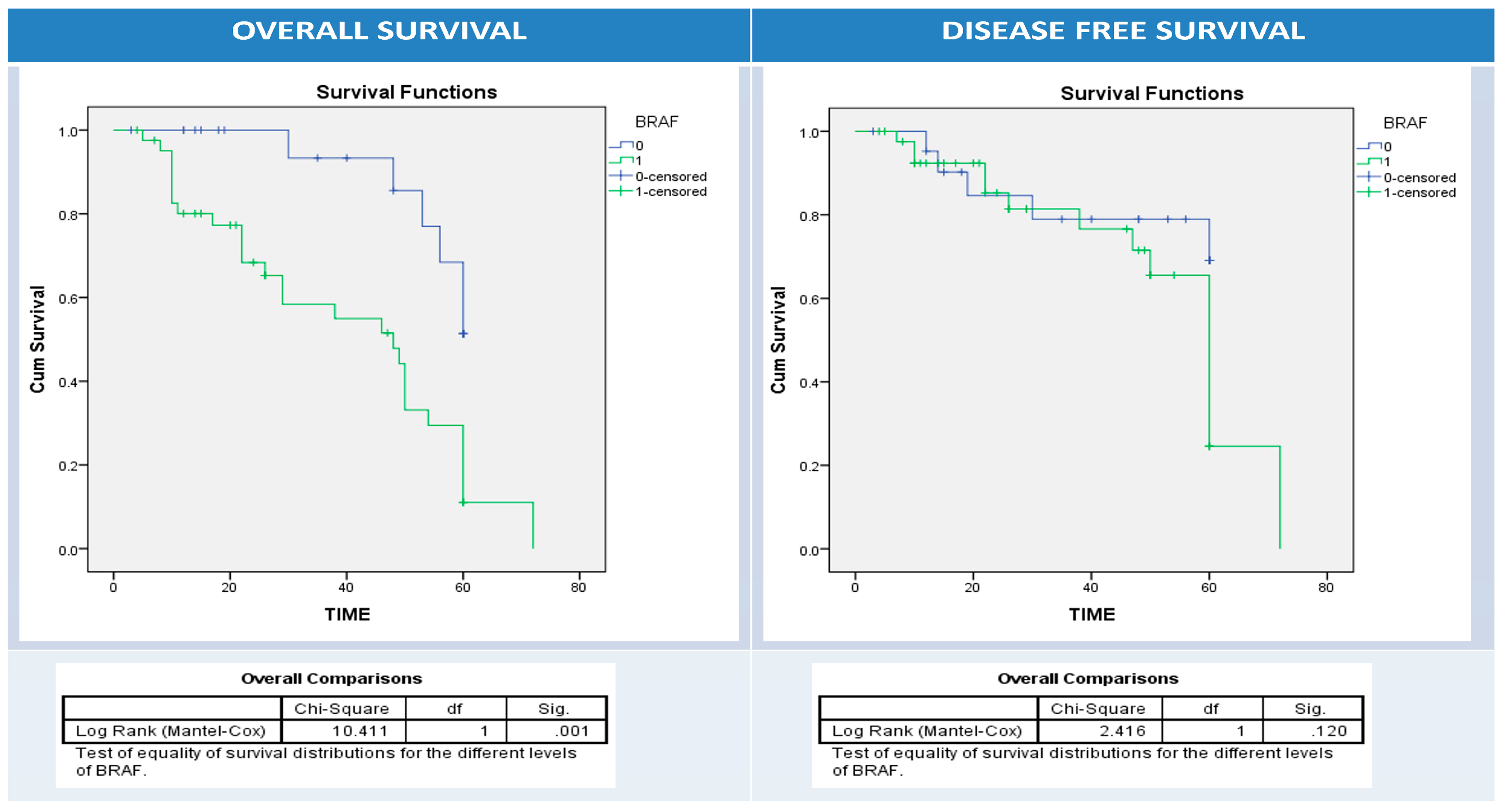 Diagnostics 13 00237 g005 Diagnostics 13 00237 g005