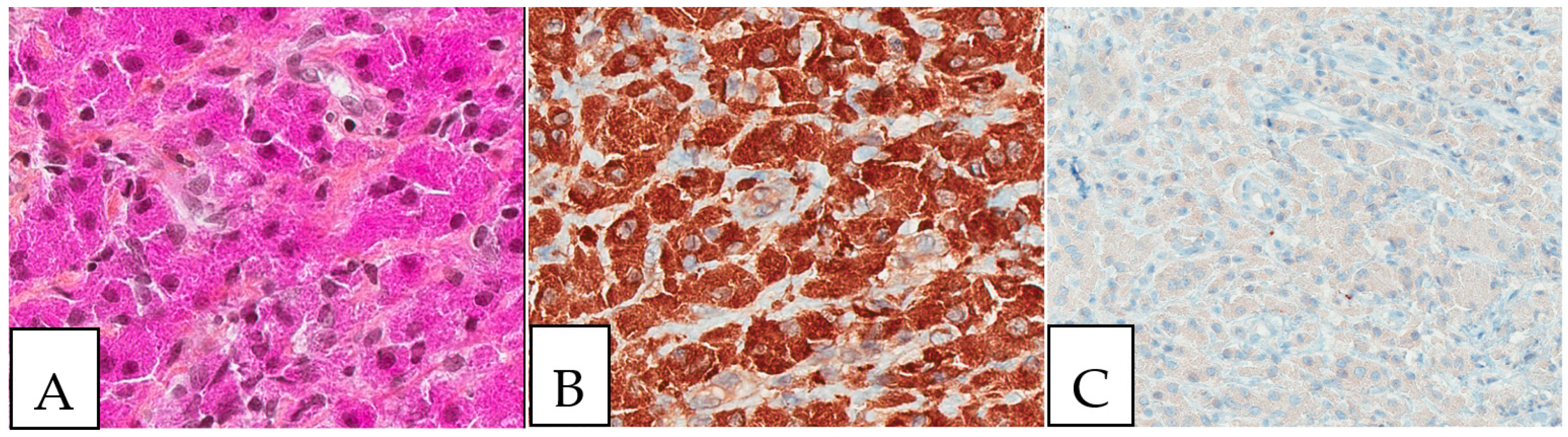 Diagnostics 13 00271 g002 Diagnostics 13 00271 g002