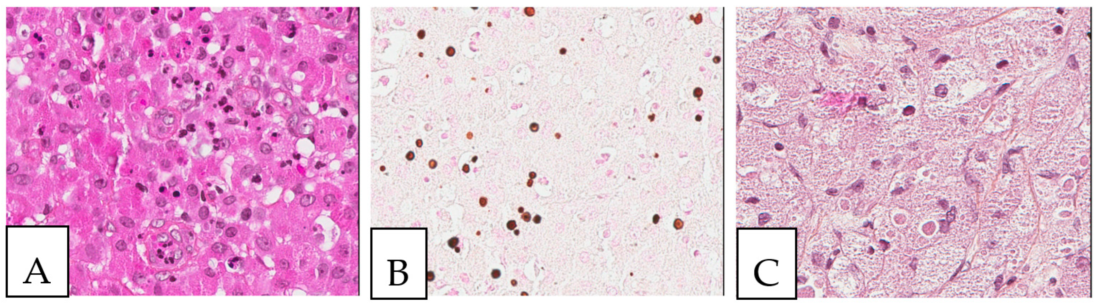 Diagnostics 13 00271 g003 Diagnostics 13 00271 g003