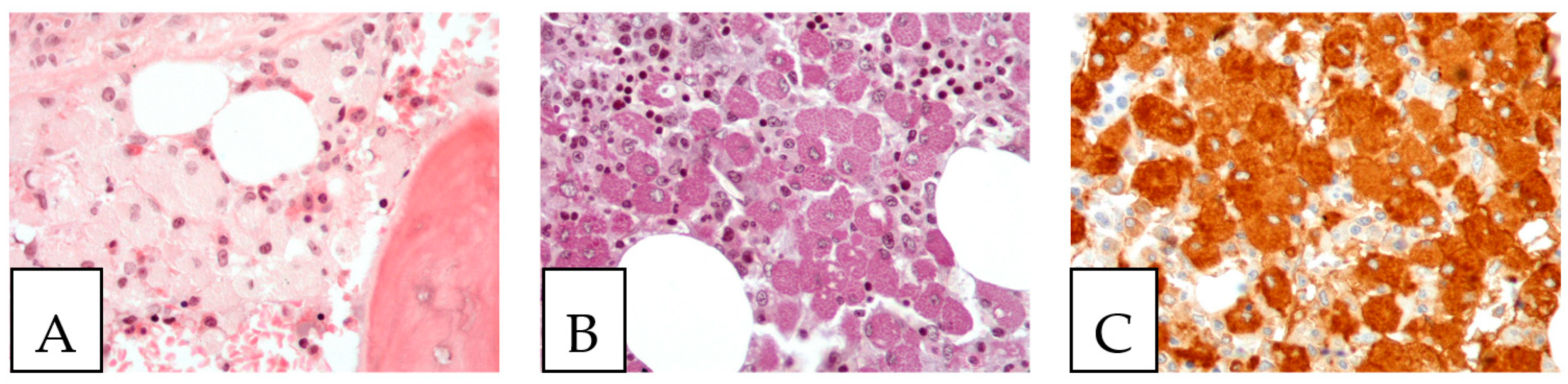 Diagnostics 13 00271 g007 Diagnostics 13 00271 g007