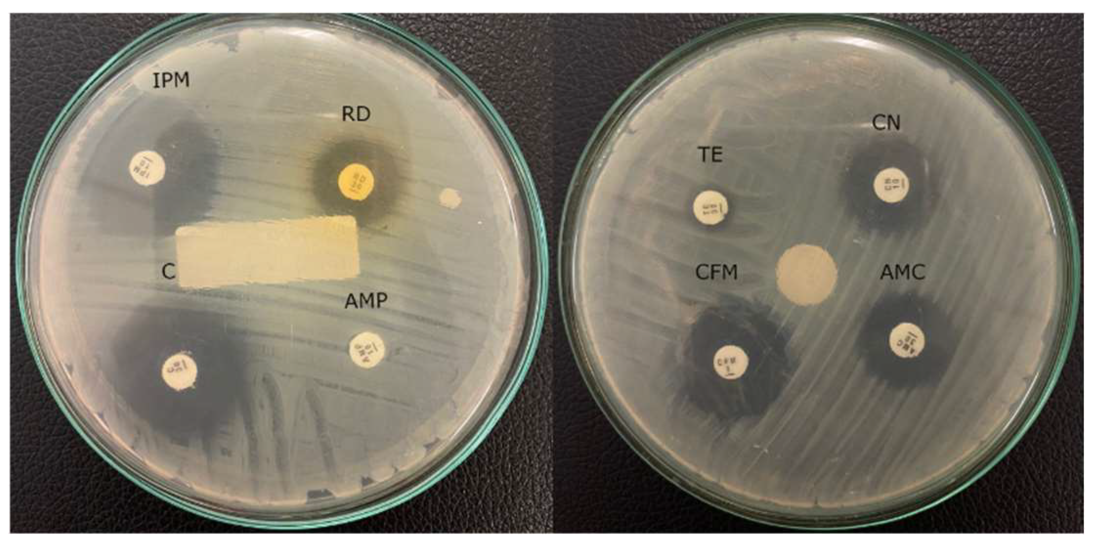 Diagnostics 13 00279 g002