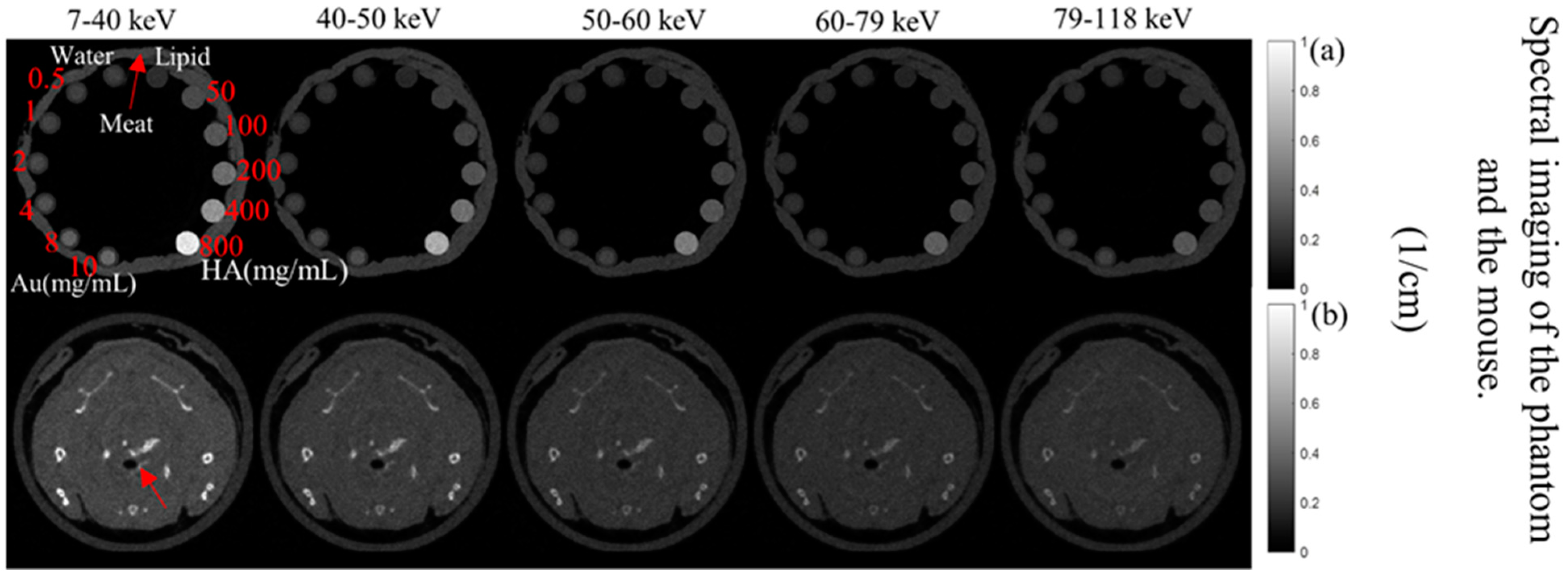 Diagnostics 13 00499 g002 Diagnostics 13 00499 g002