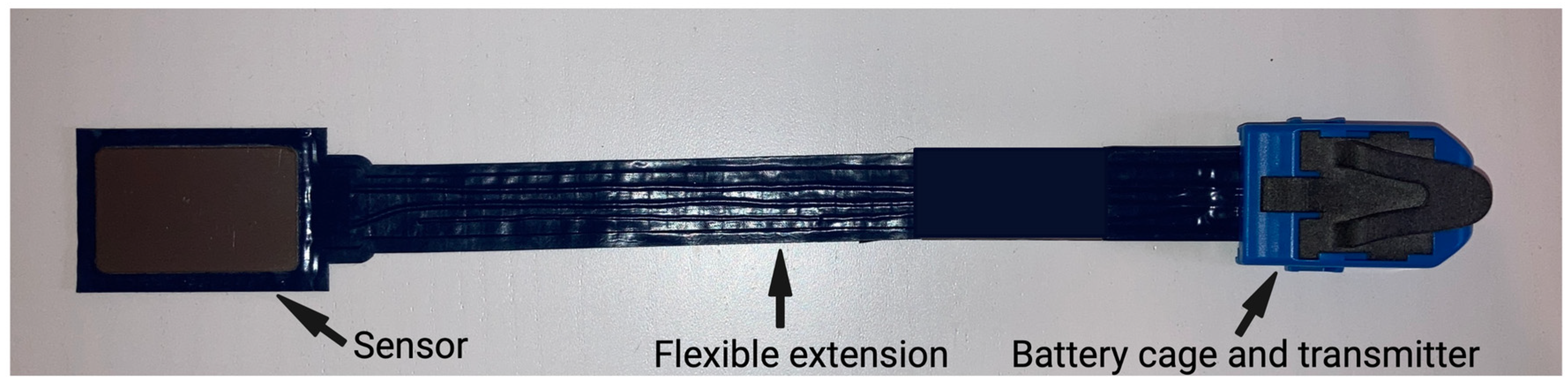 Diagnostics 13 00586 g001