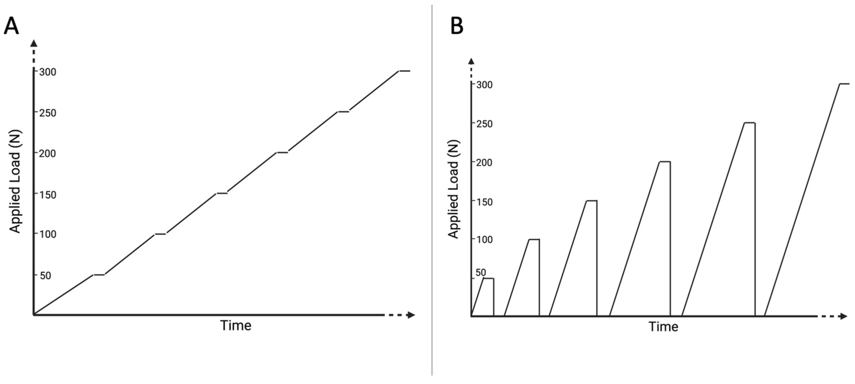 Diagnostics 13 00586 g003