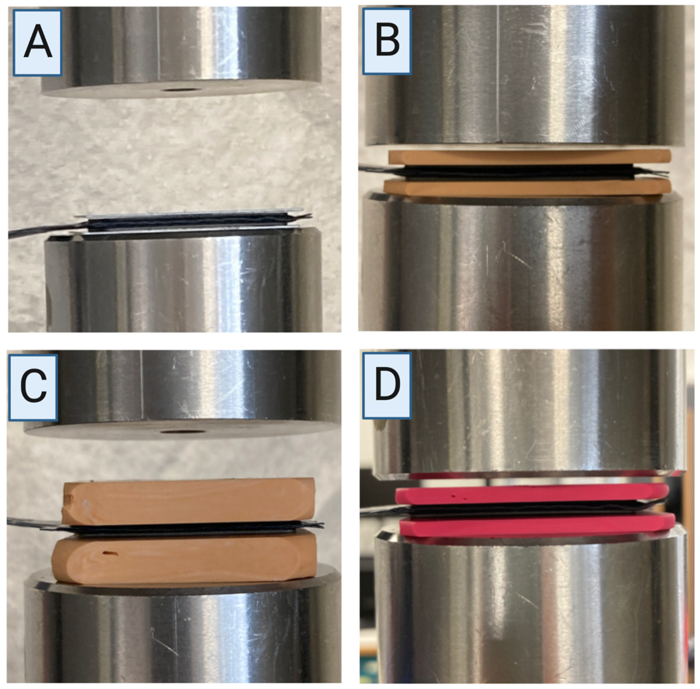 Diagnostics 13 00586 g004