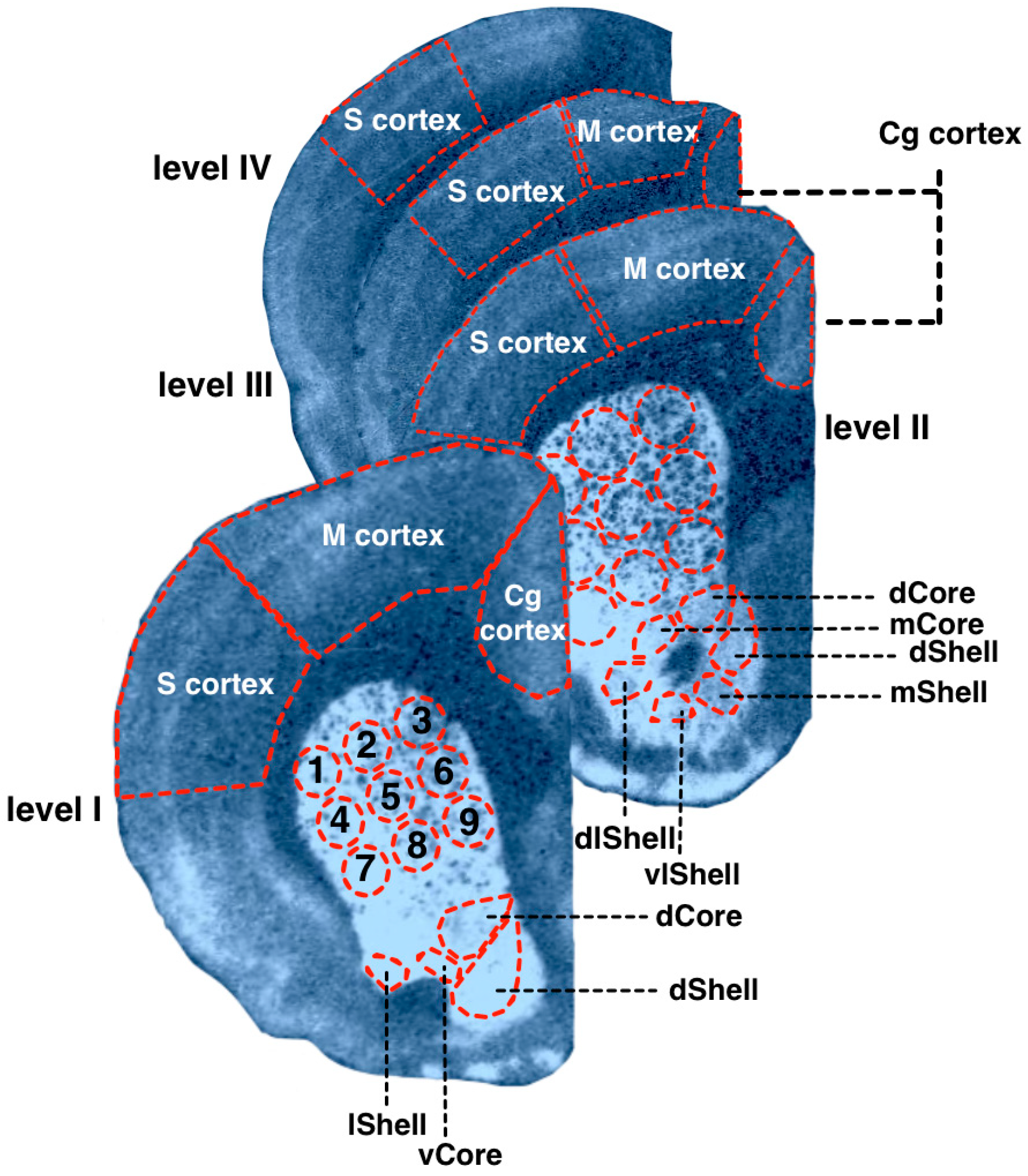 Diagnostics 13 00587 g002 Diagnostics 13 00587 g002