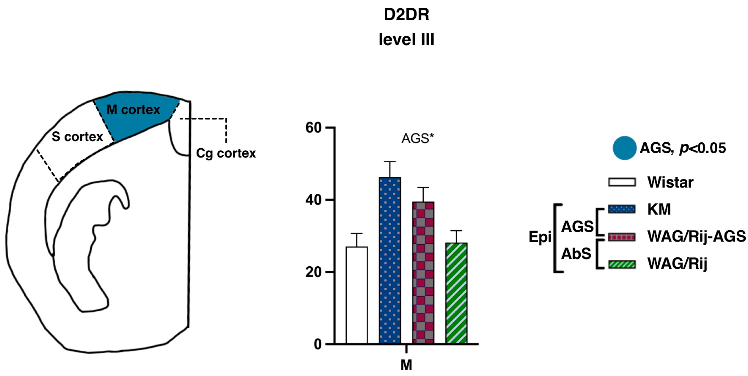 Diagnostics 13 00587 g006 Diagnostics 13 00587 g006