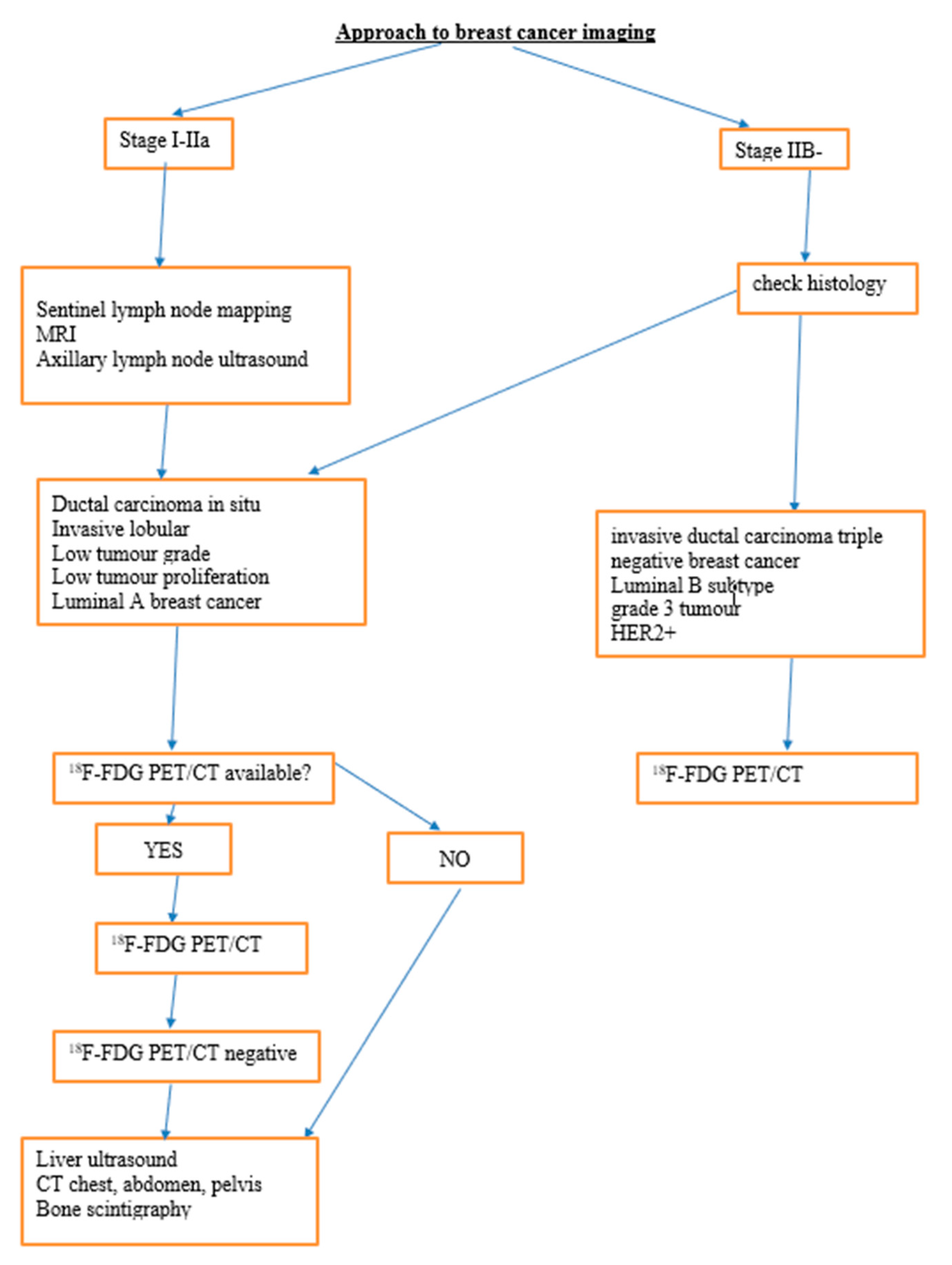 Diagnostics 13 00597 g001