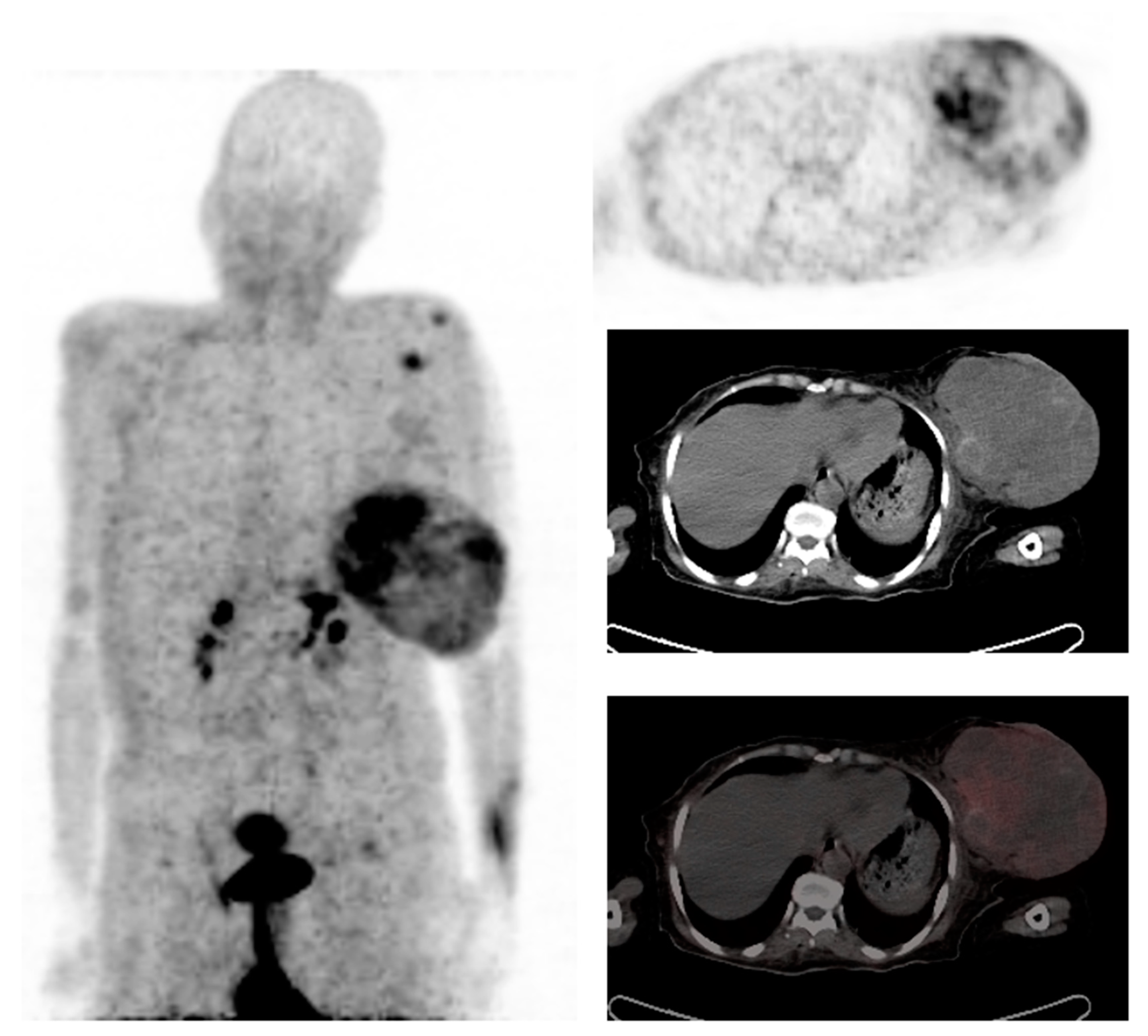 Diagnostics 13 00597 g002