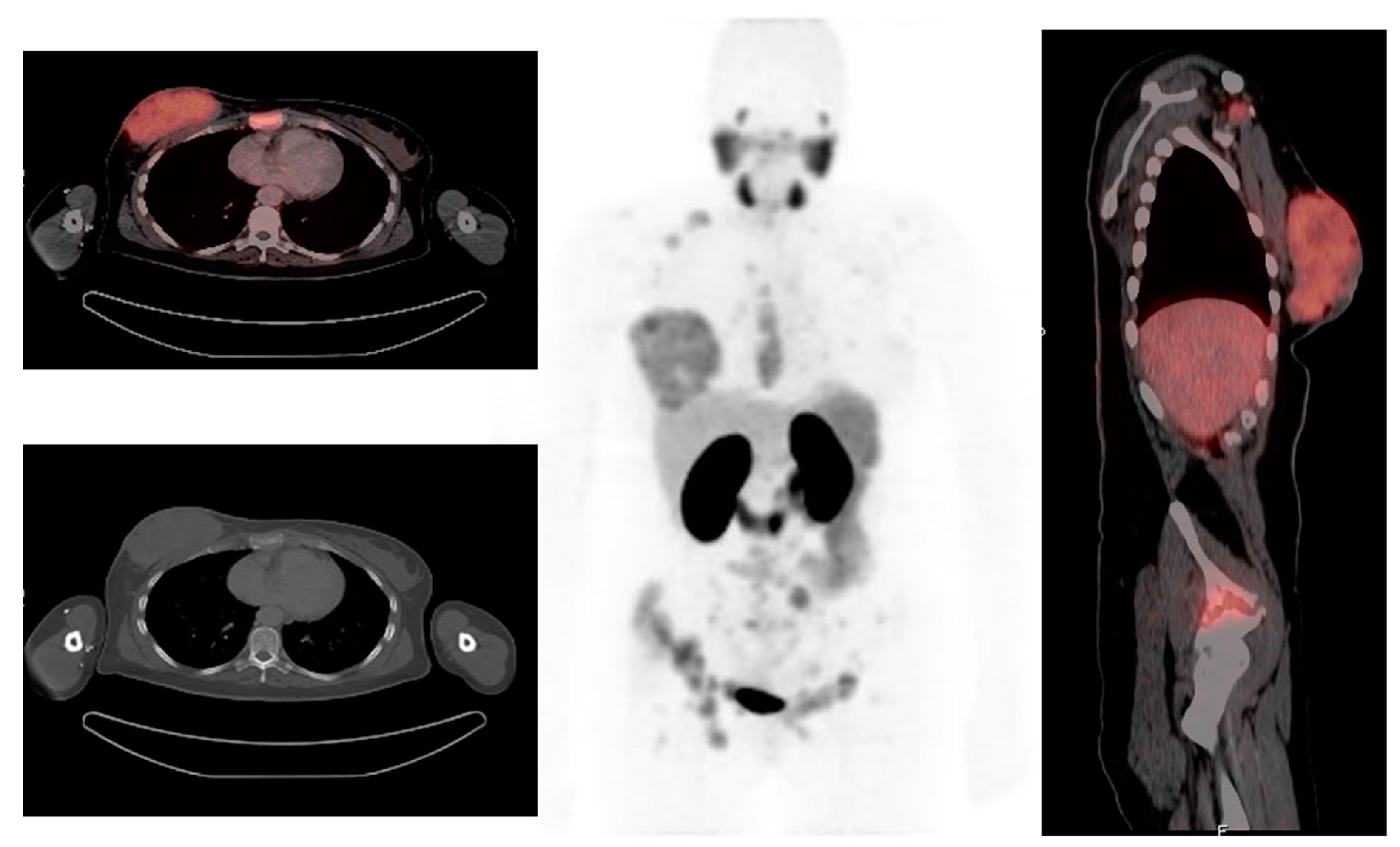 Diagnostics 13 00597 g003