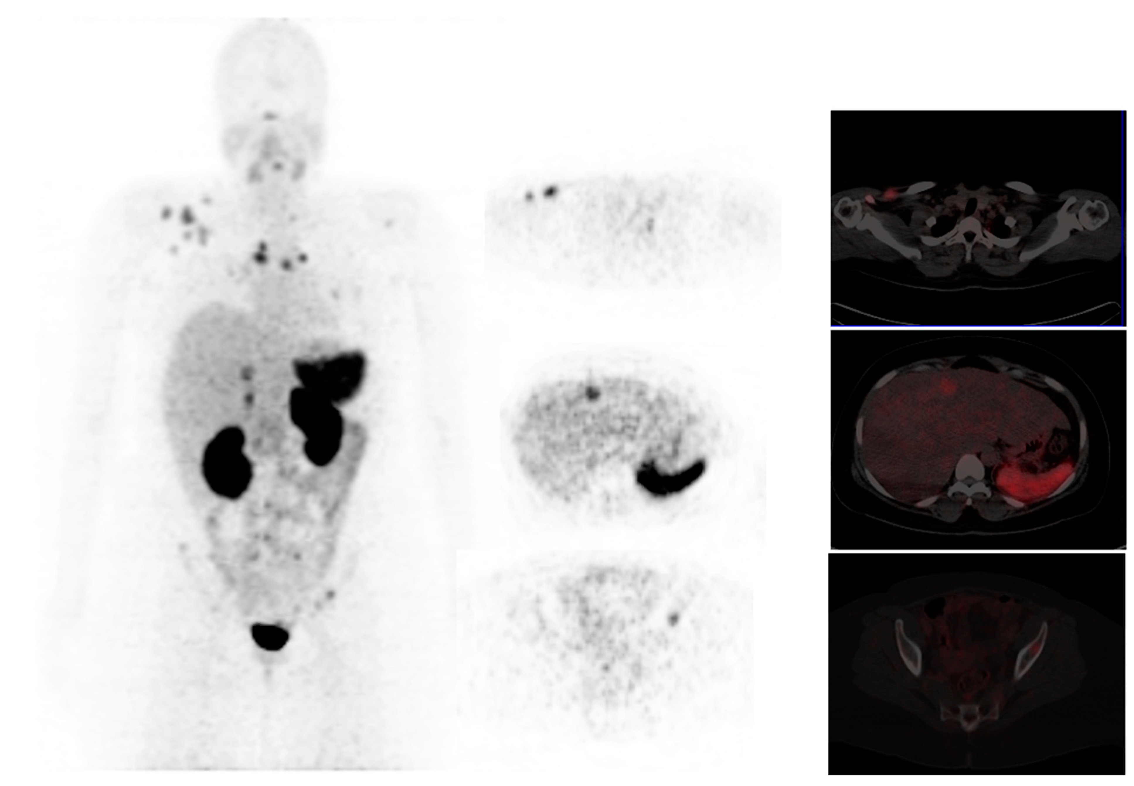 Diagnostics 13 00597 g005