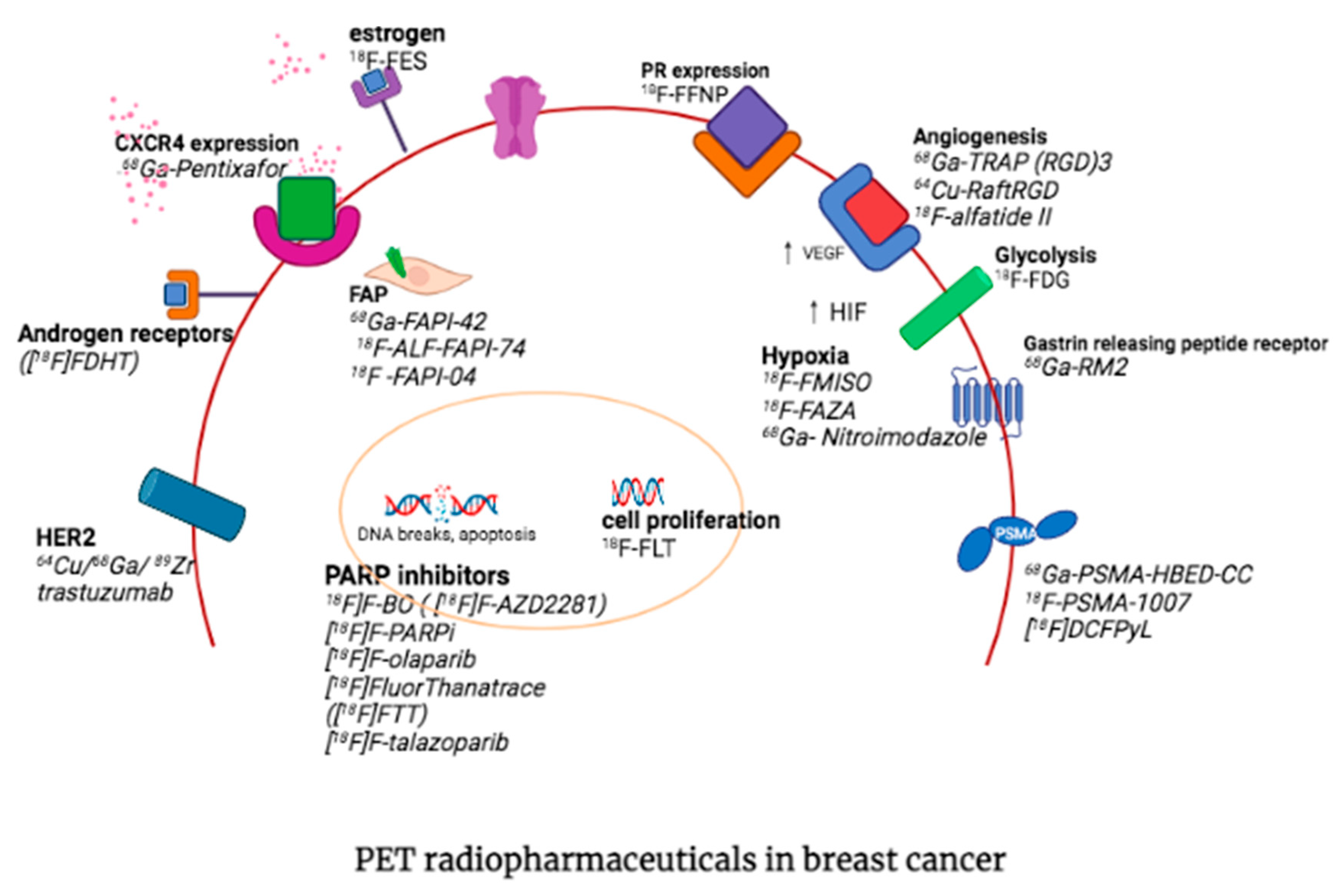 Diagnostics 13 00597 g006