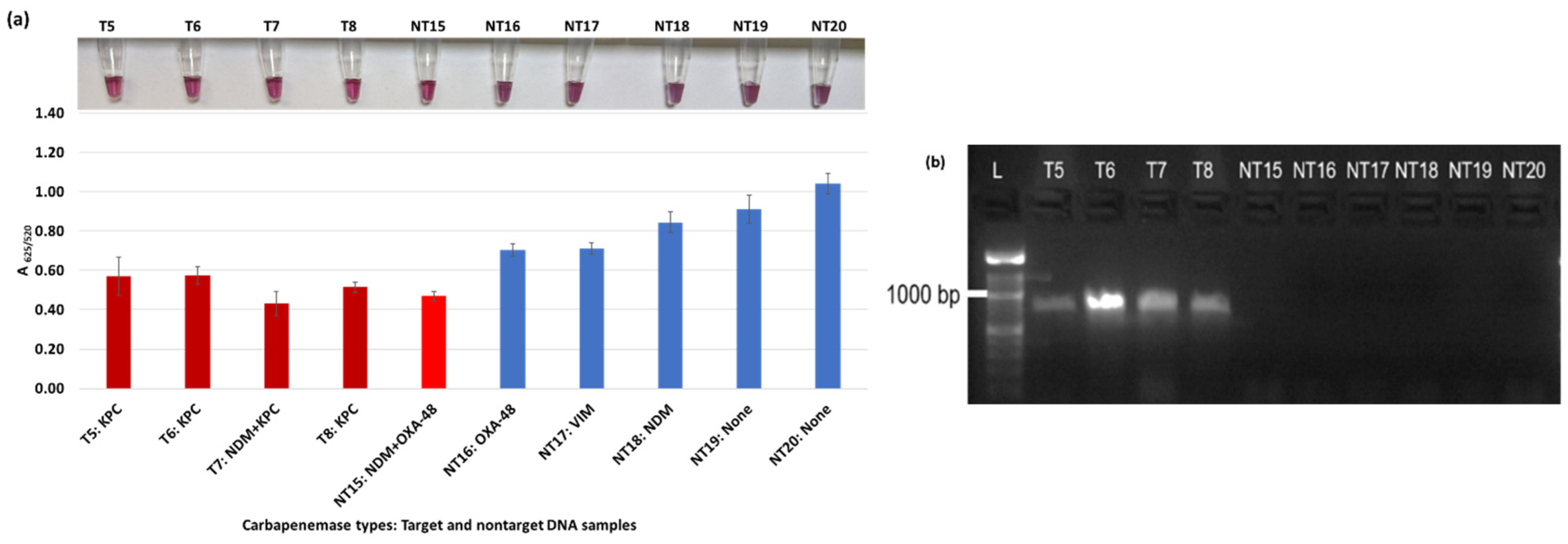 Diagnostics 13 00656 g005