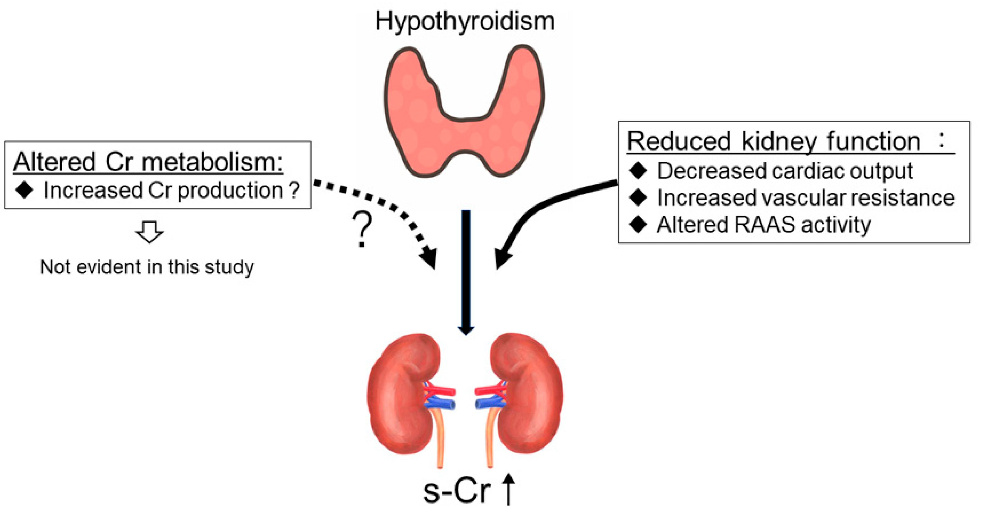 Association between Urinary Creatinine Excretion and ...