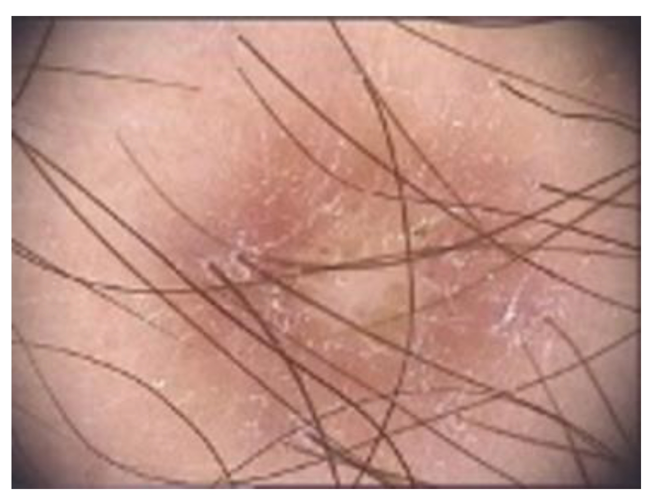 Diagnostics 13 00671 g008 Diagnostics 13 00671 g008