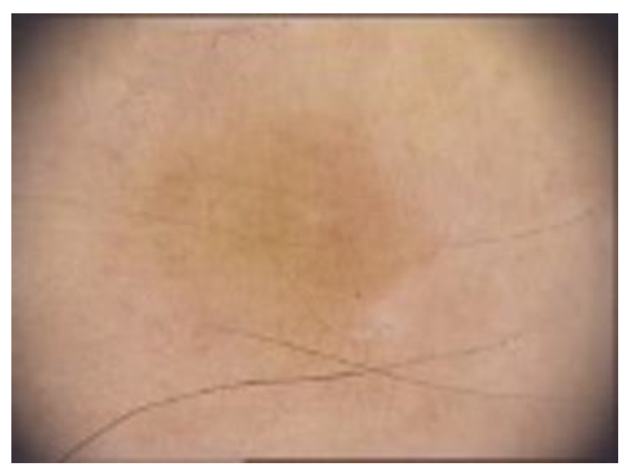 Diagnostics 13 00671 g009 Diagnostics 13 00671 g009