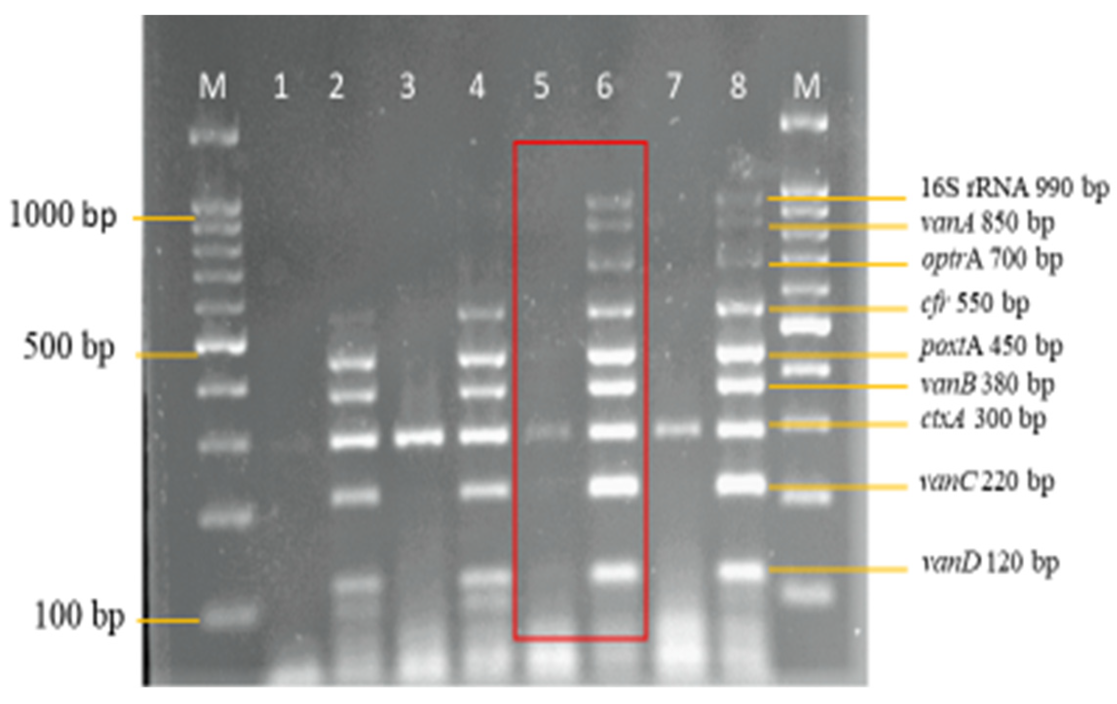 Diagnostics 13 00722 g008