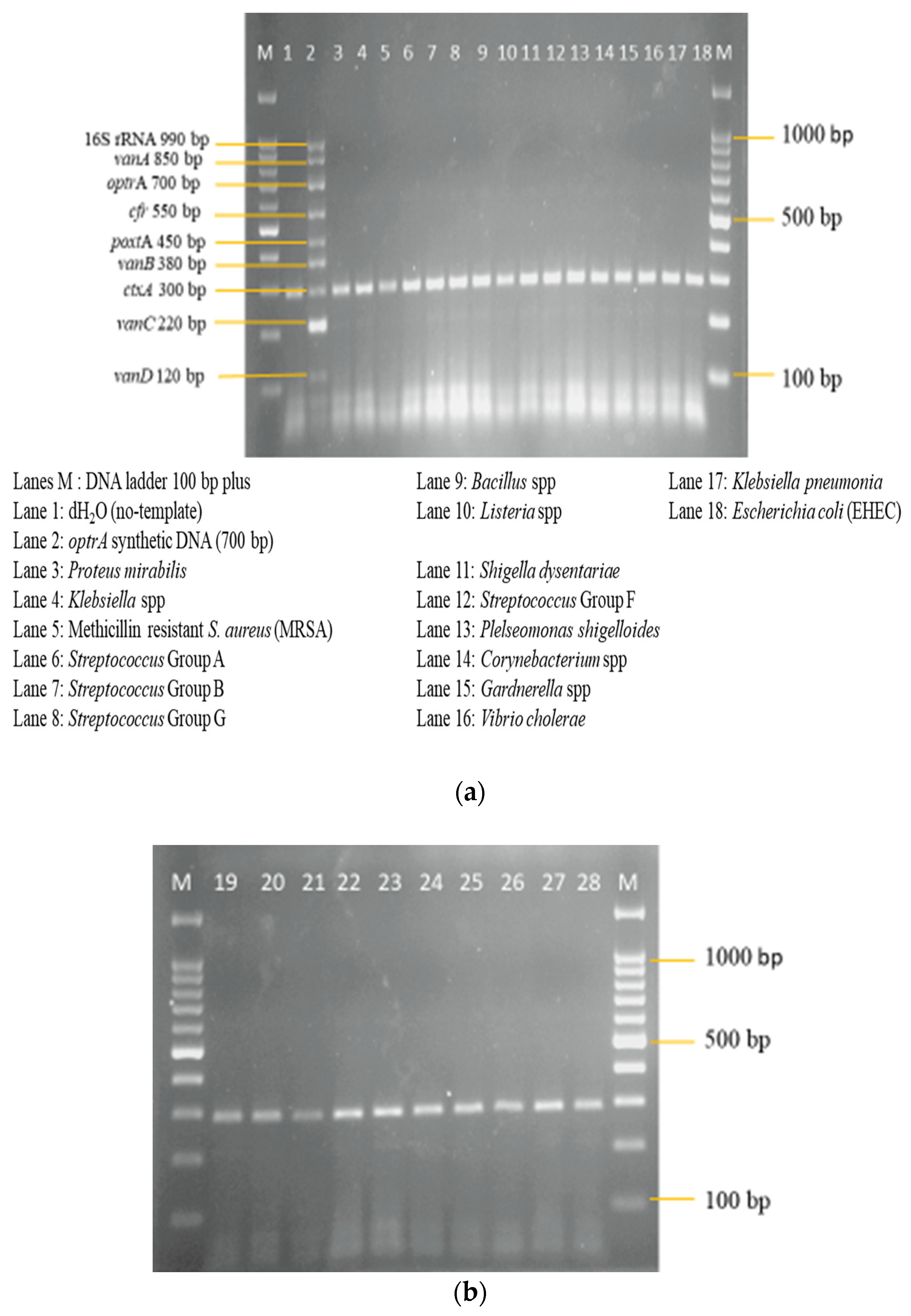 Diagnostics 13 00722 g010