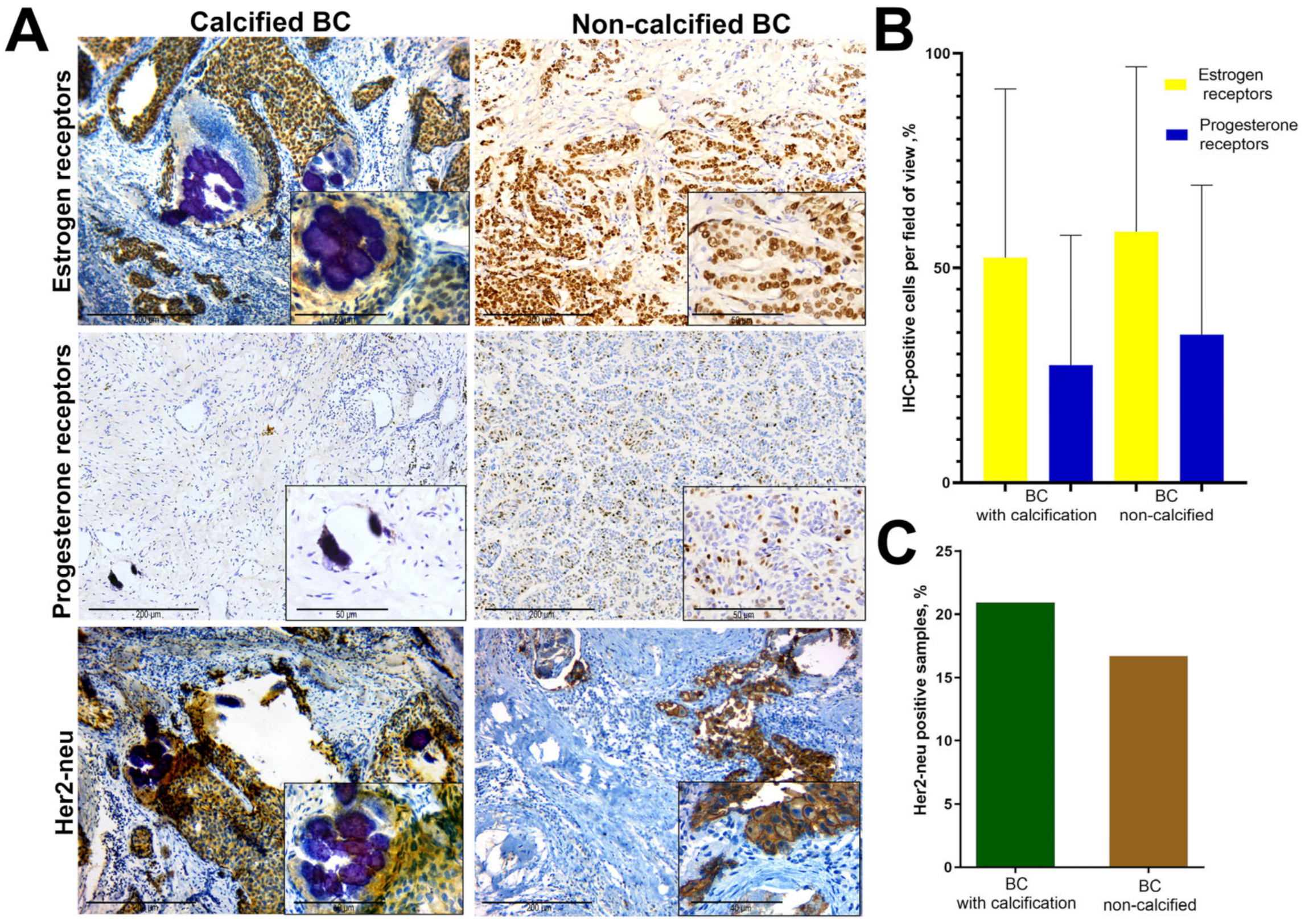 Diagnostics 13 00737 g001 Diagnostics 13 00737 g001