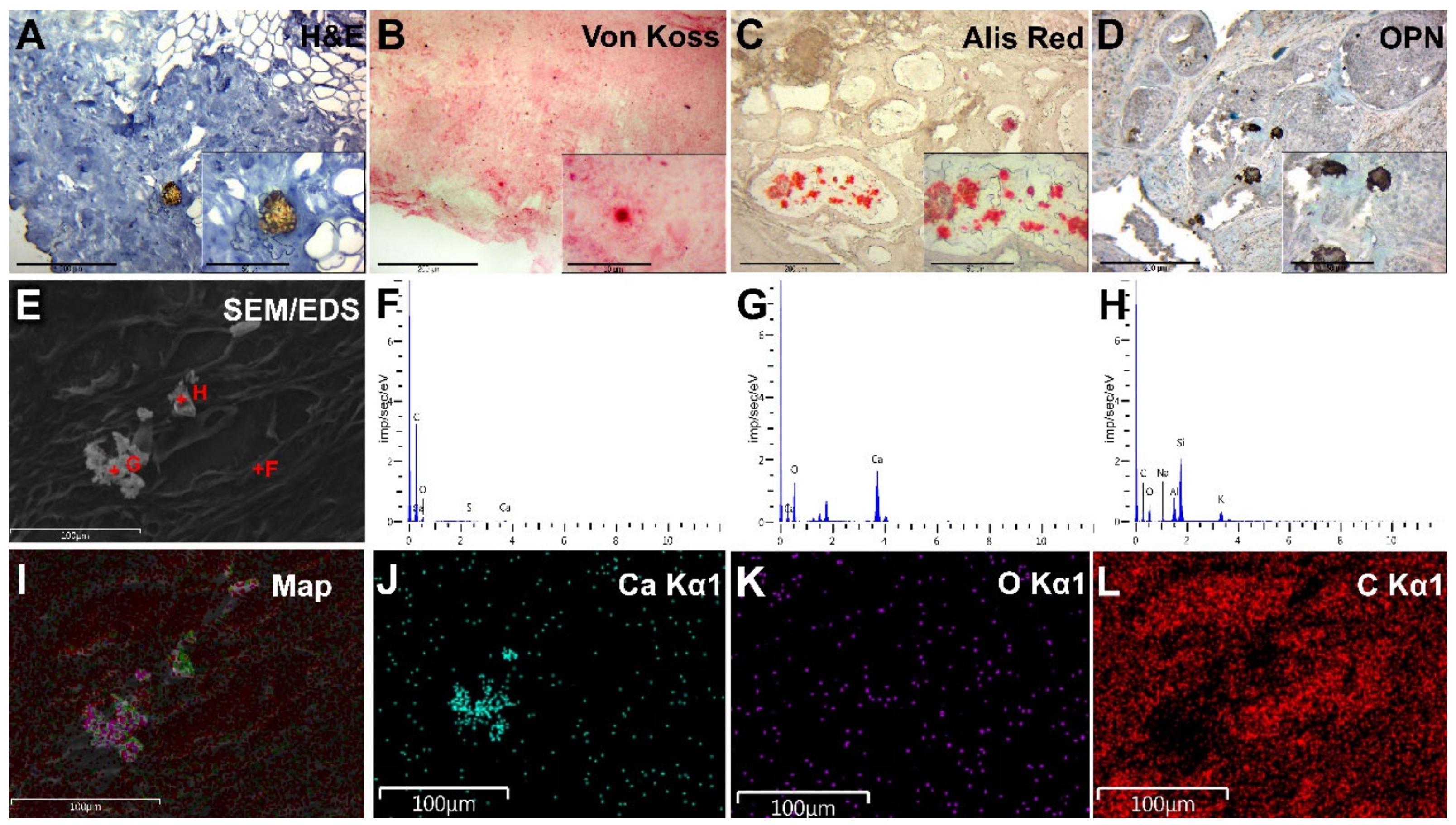 Diagnostics 13 00737 g005 Diagnostics 13 00737 g005