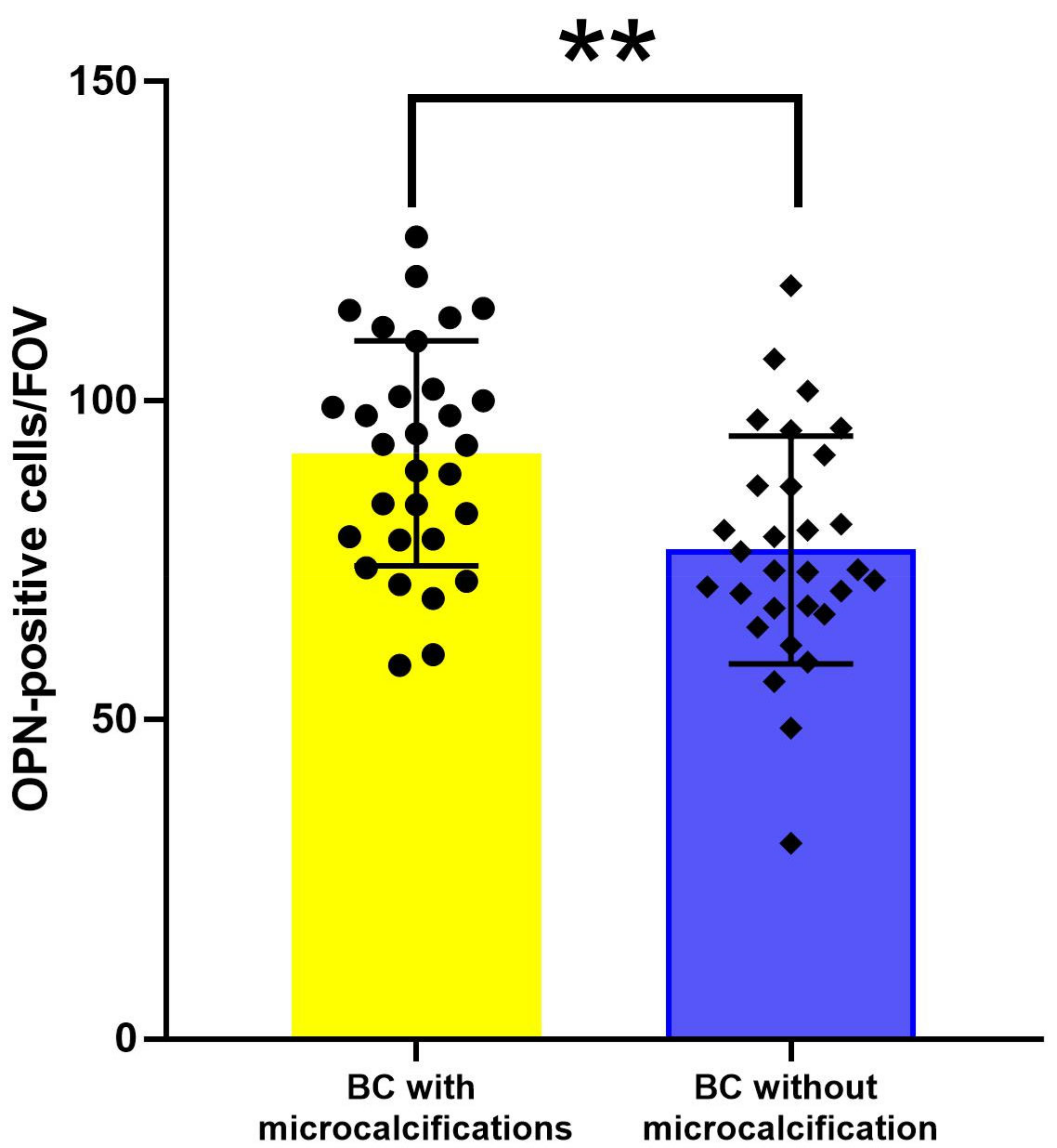Diagnostics 13 00737 g007 Diagnostics 13 00737 g007