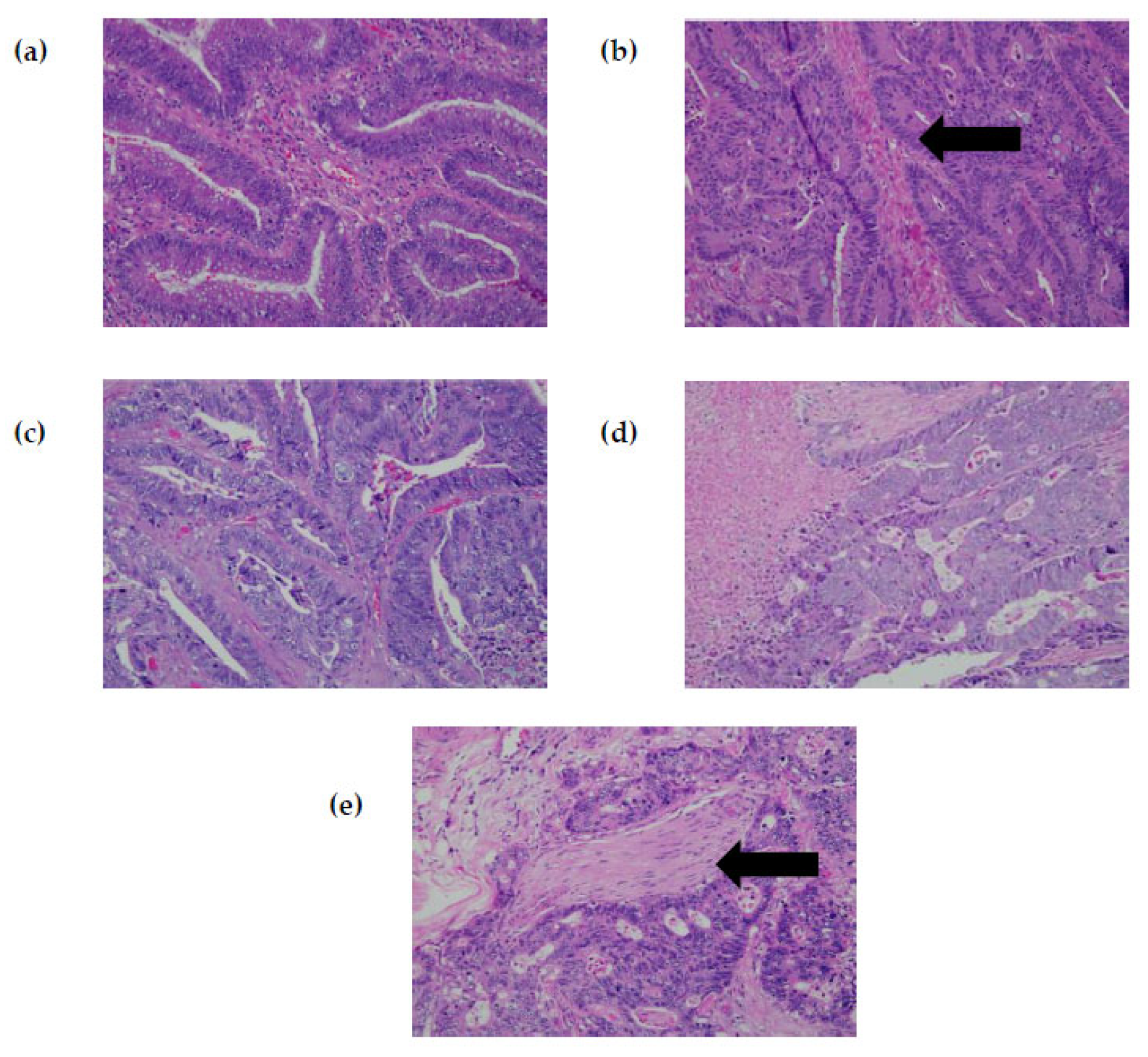 Diagnostics 13 00822 g002 Diagnostics 13 00822 g002