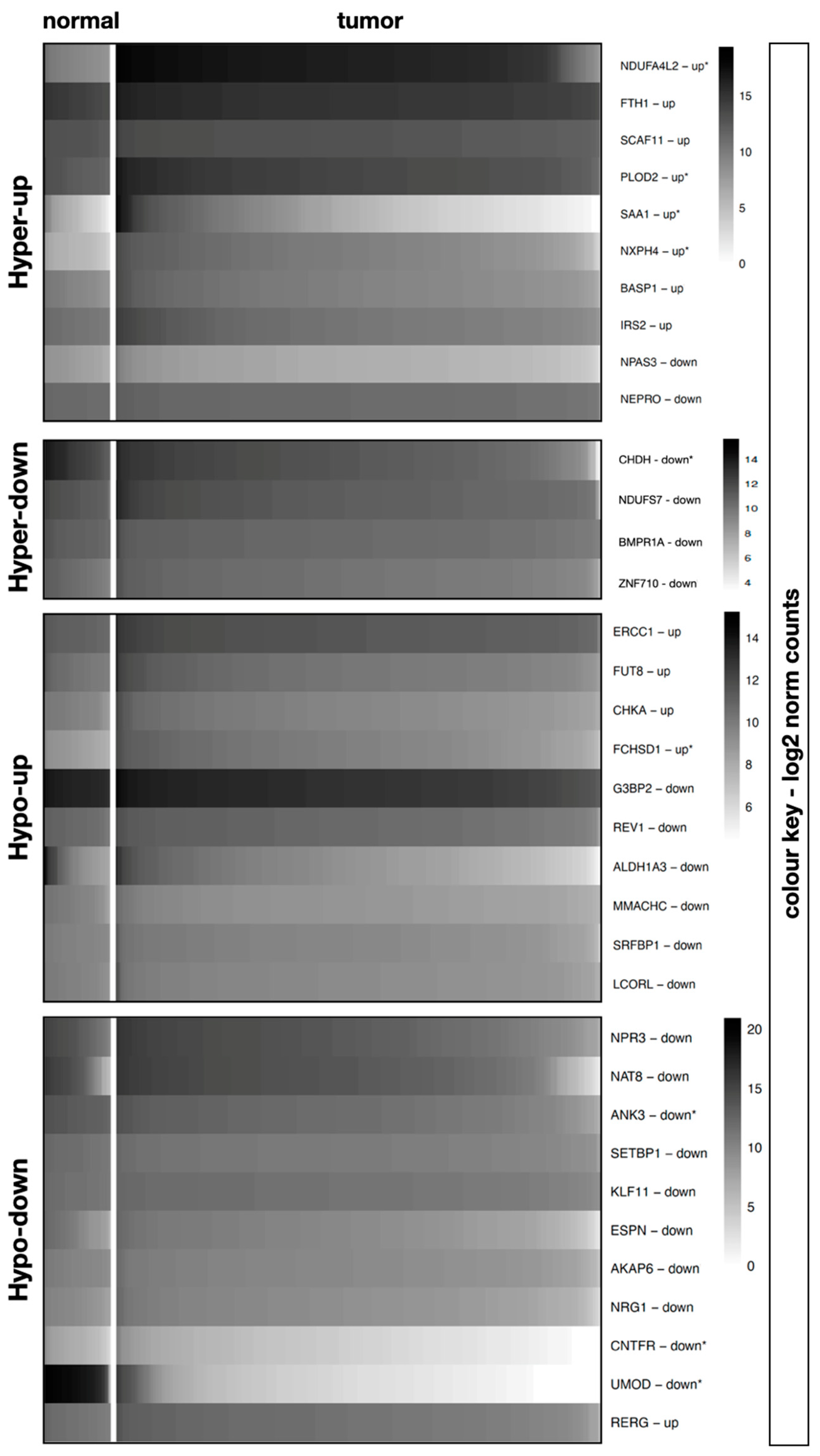 Diagnostics 13 00823 g001 Diagnostics 13 00823 g001