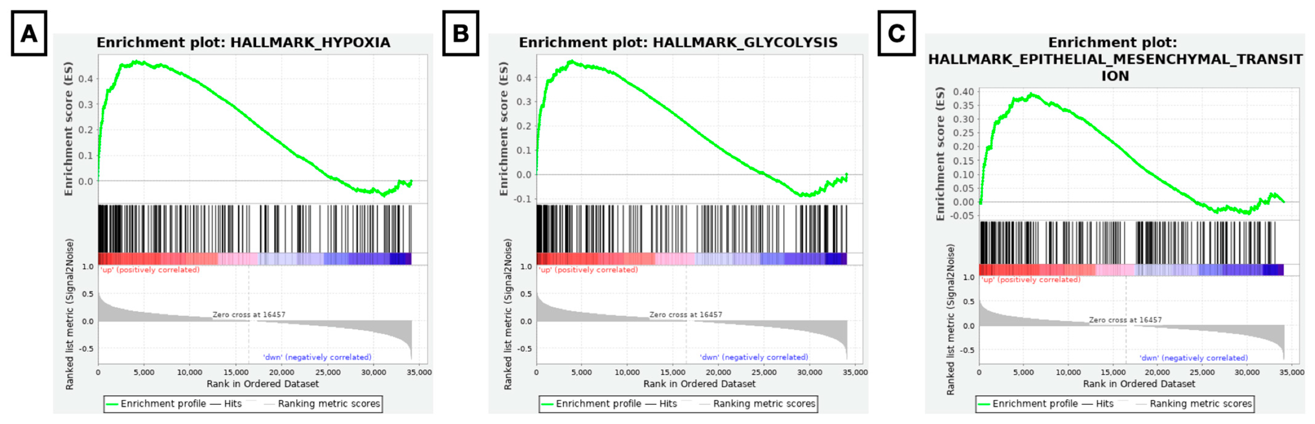 Diagnostics 13 00823 g003 Diagnostics 13 00823 g003