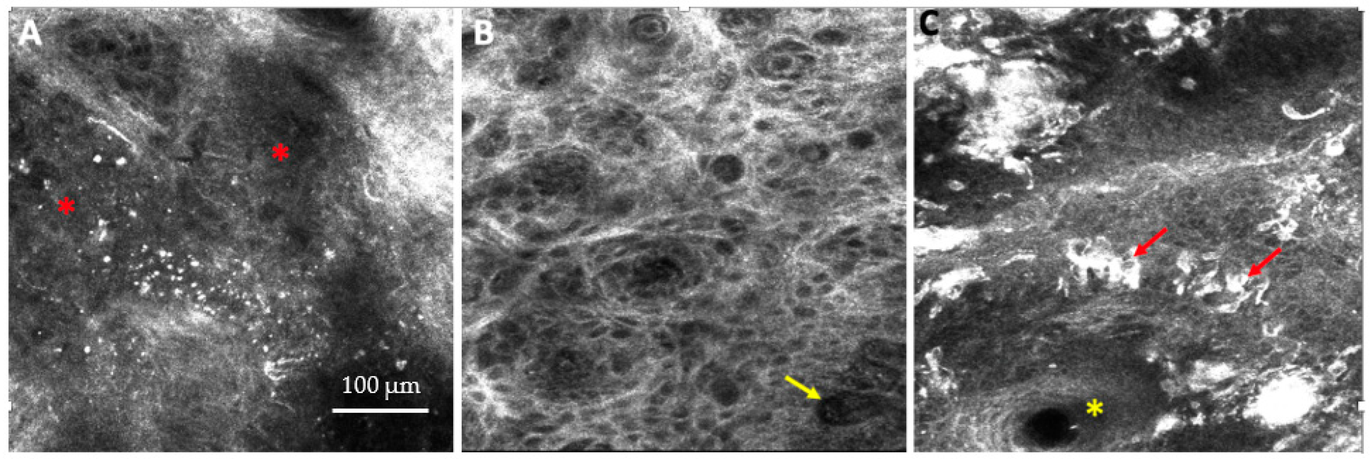 Diagnostics 13 00854 g001 Diagnostics 13 00854 g001