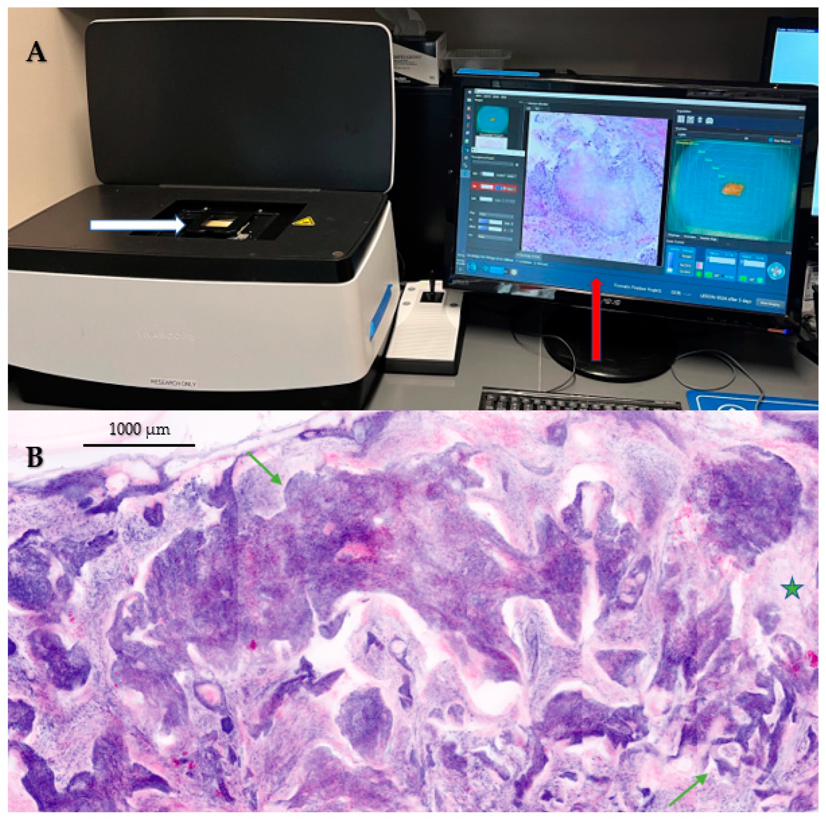 Diagnostics 13 00854 g002 Diagnostics 13 00854 g002