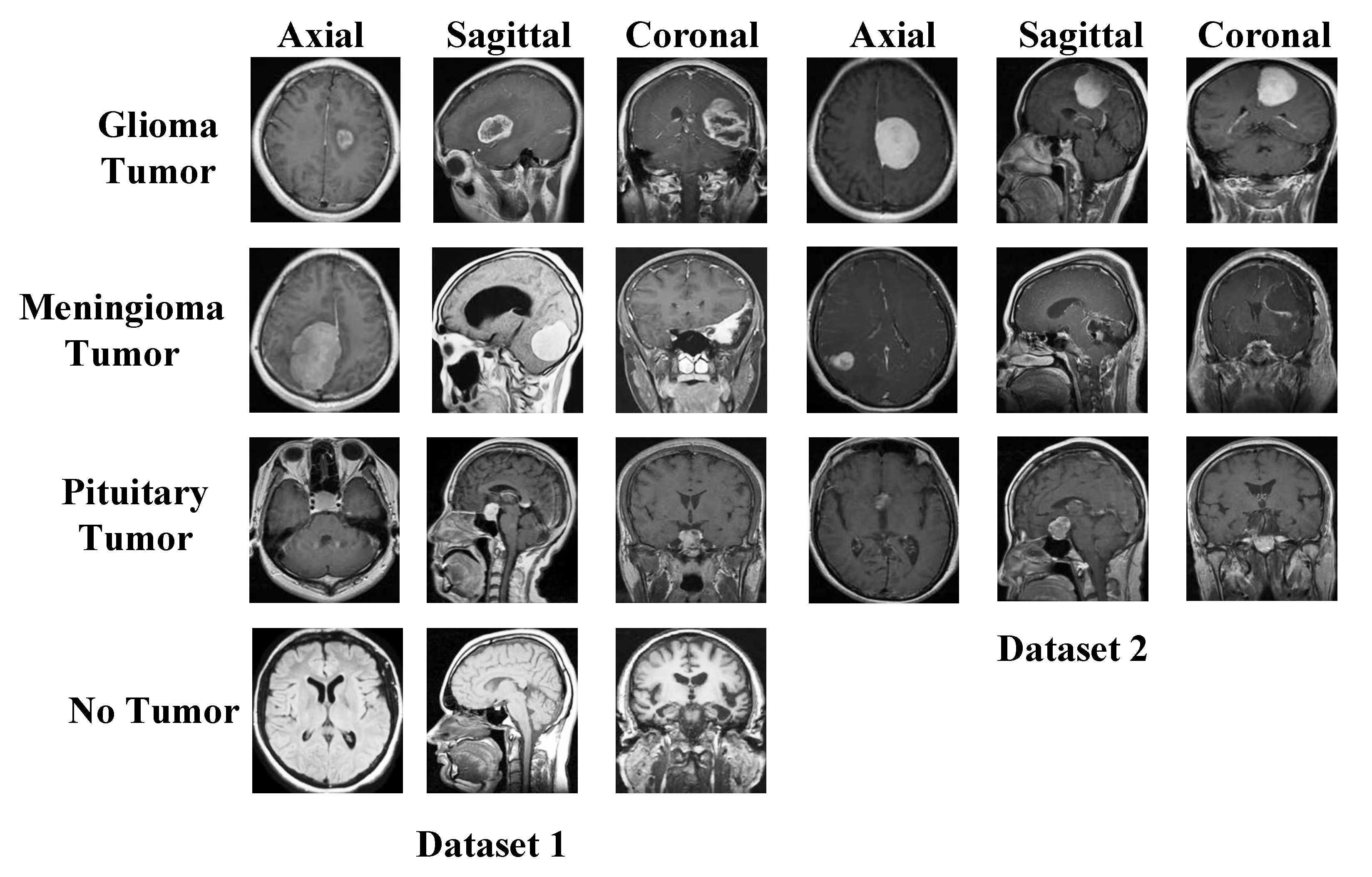 Diagnostics 13 00859 g001 Diagnostics 13 00859 g001
