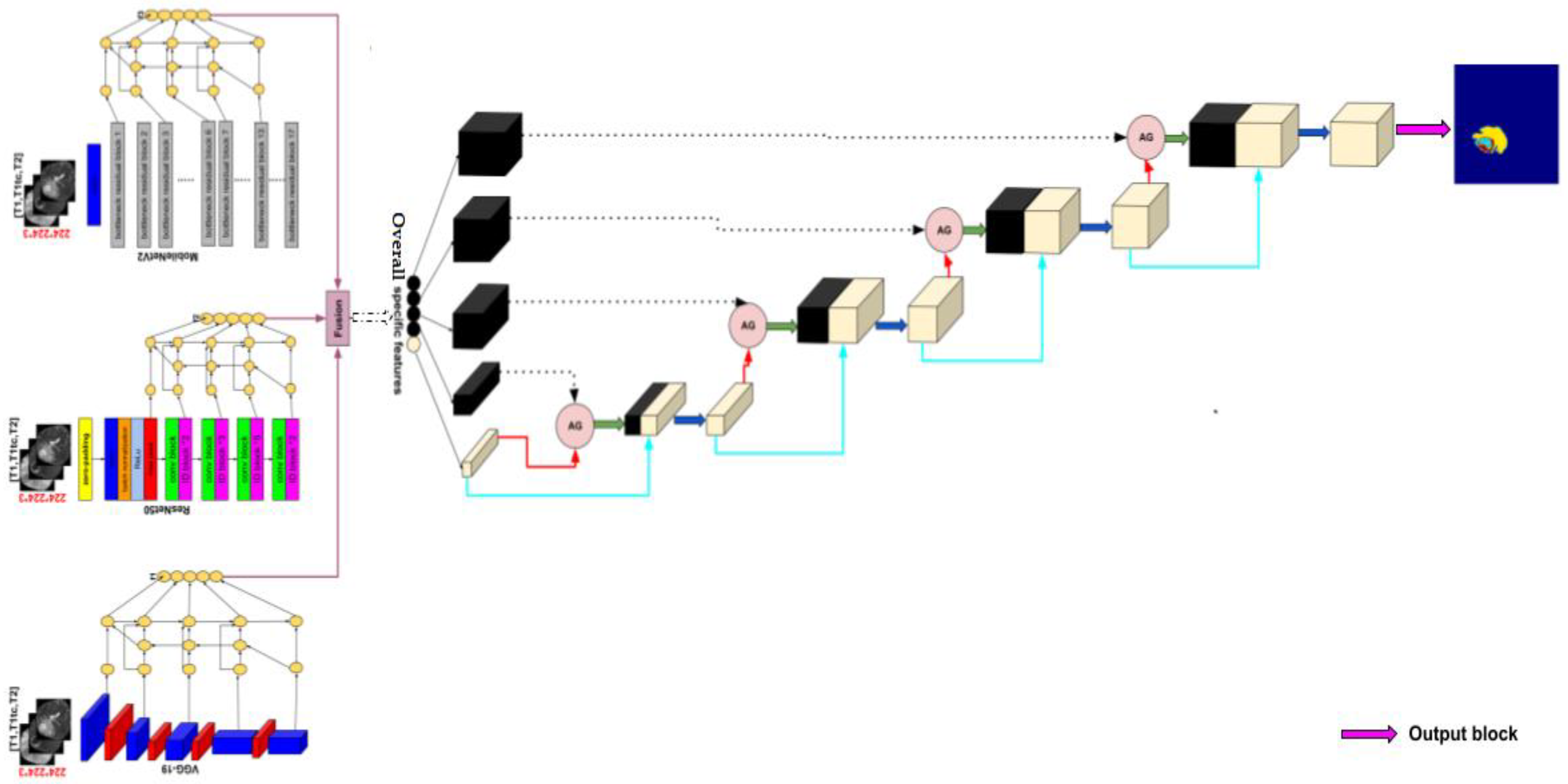 Diagnostics 13 00872 g012