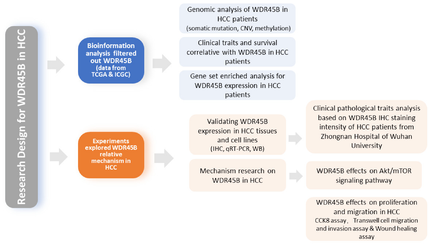 Diagnostics 13 00906 g001