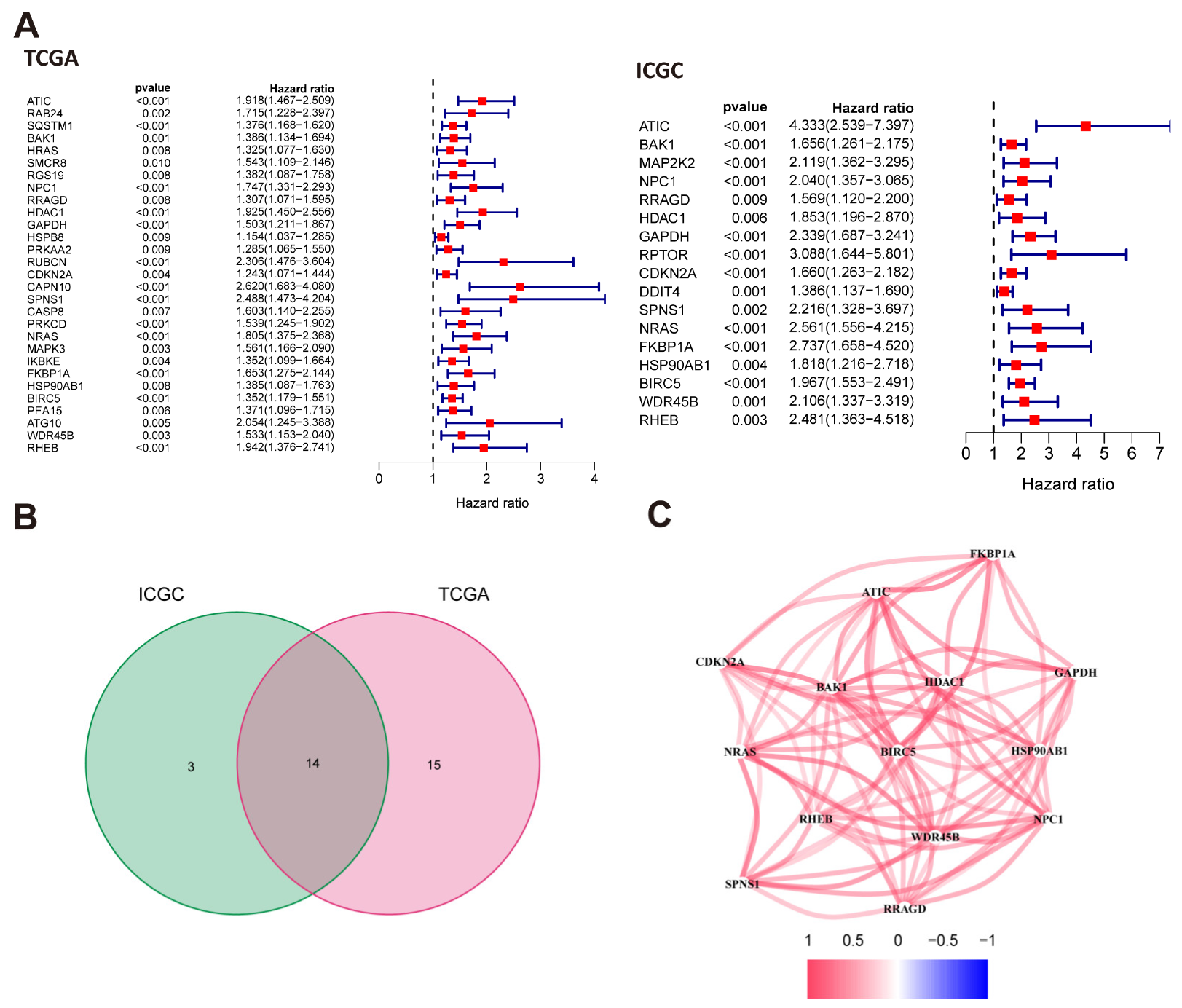 Diagnostics 13 00906 g002
