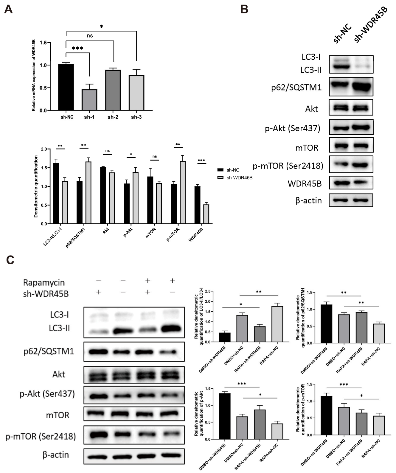 Diagnostics 13 00906 g006