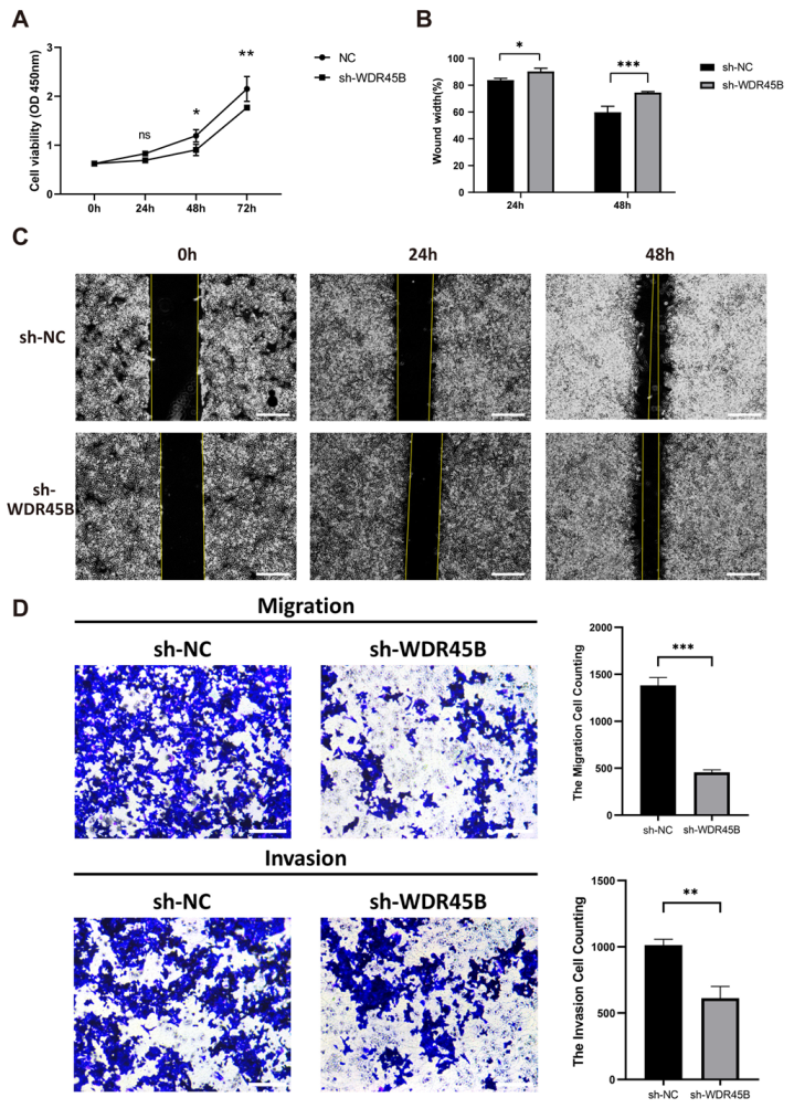 Diagnostics 13 00906 g007