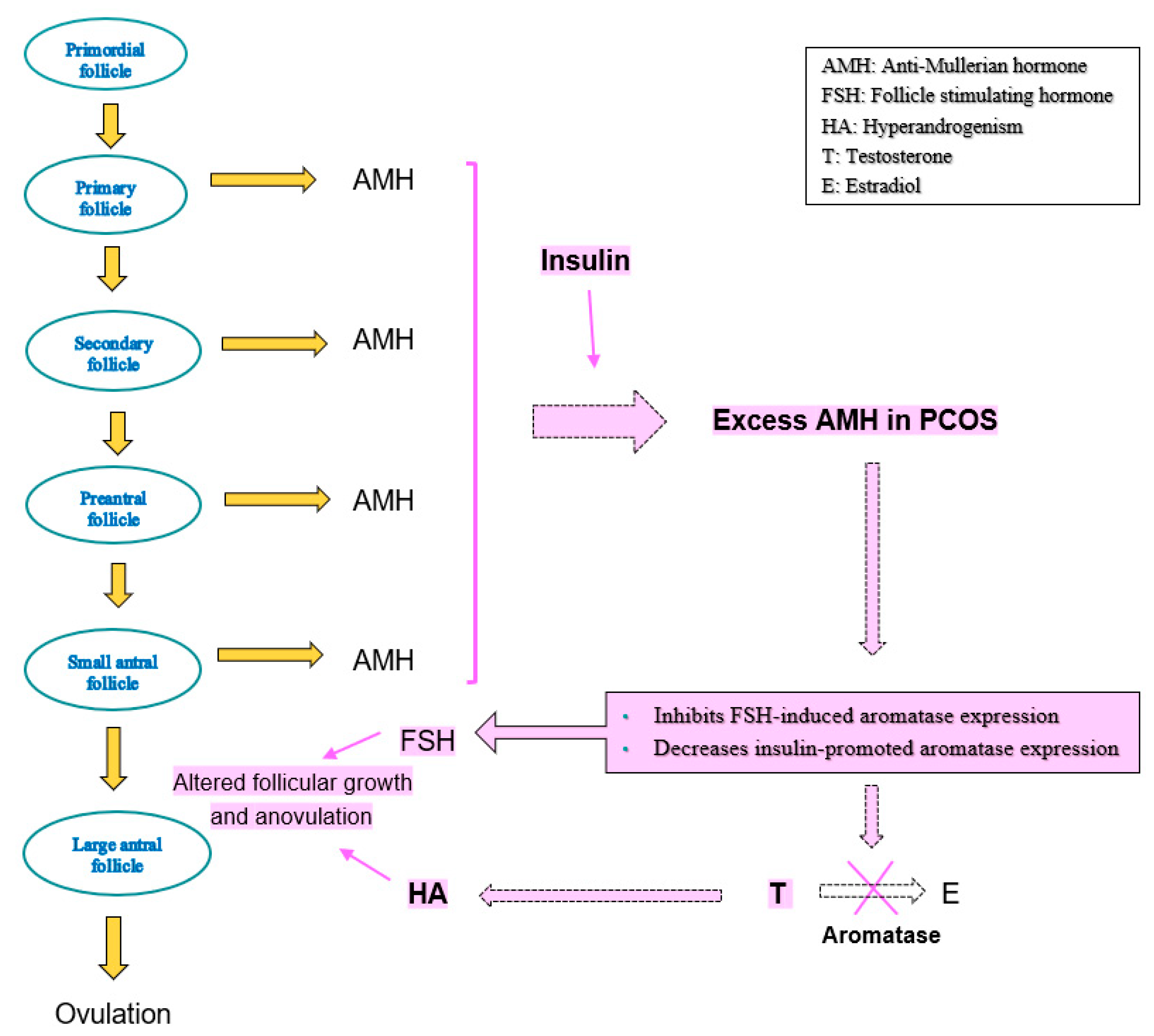 Diagnostics 13 00907 g003 Diagnostics 13 00907 g003